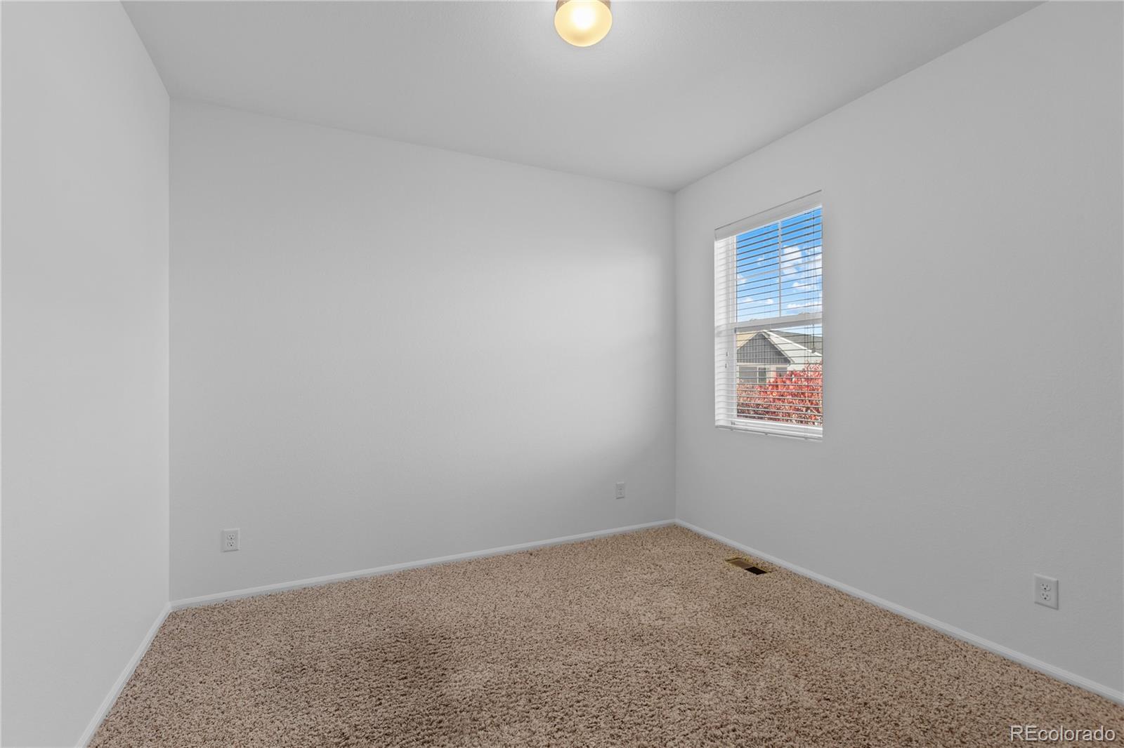 11379 Lovage Way