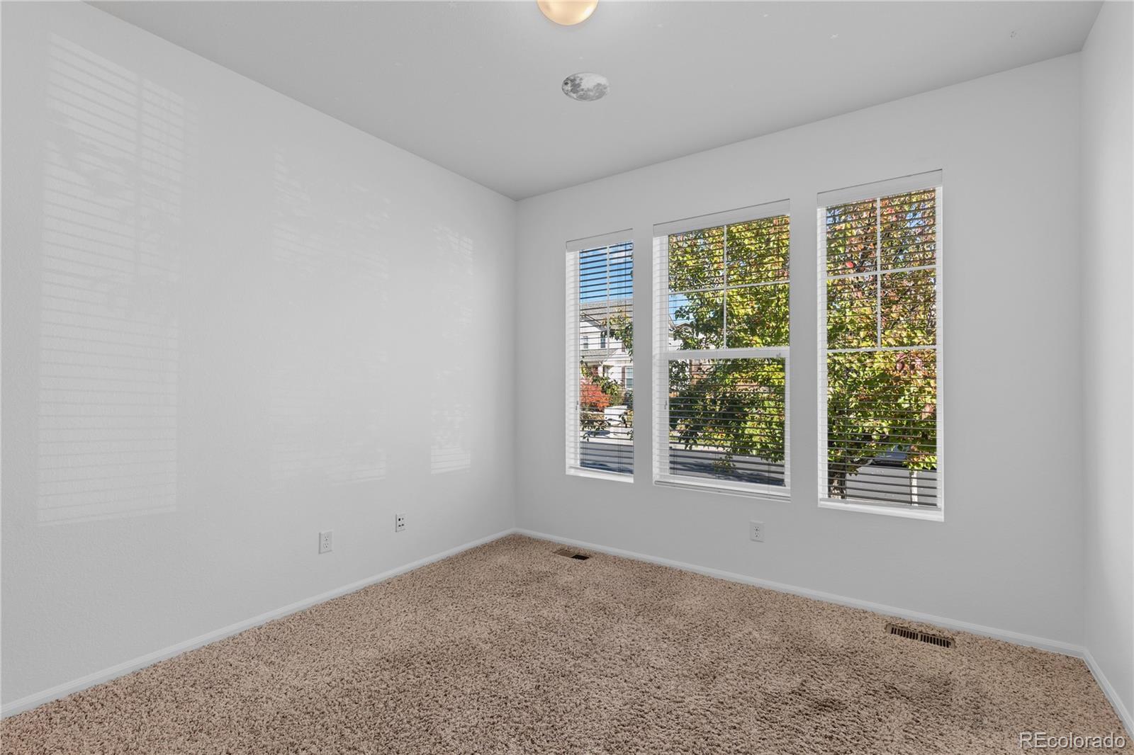 11379 Lovage Way
