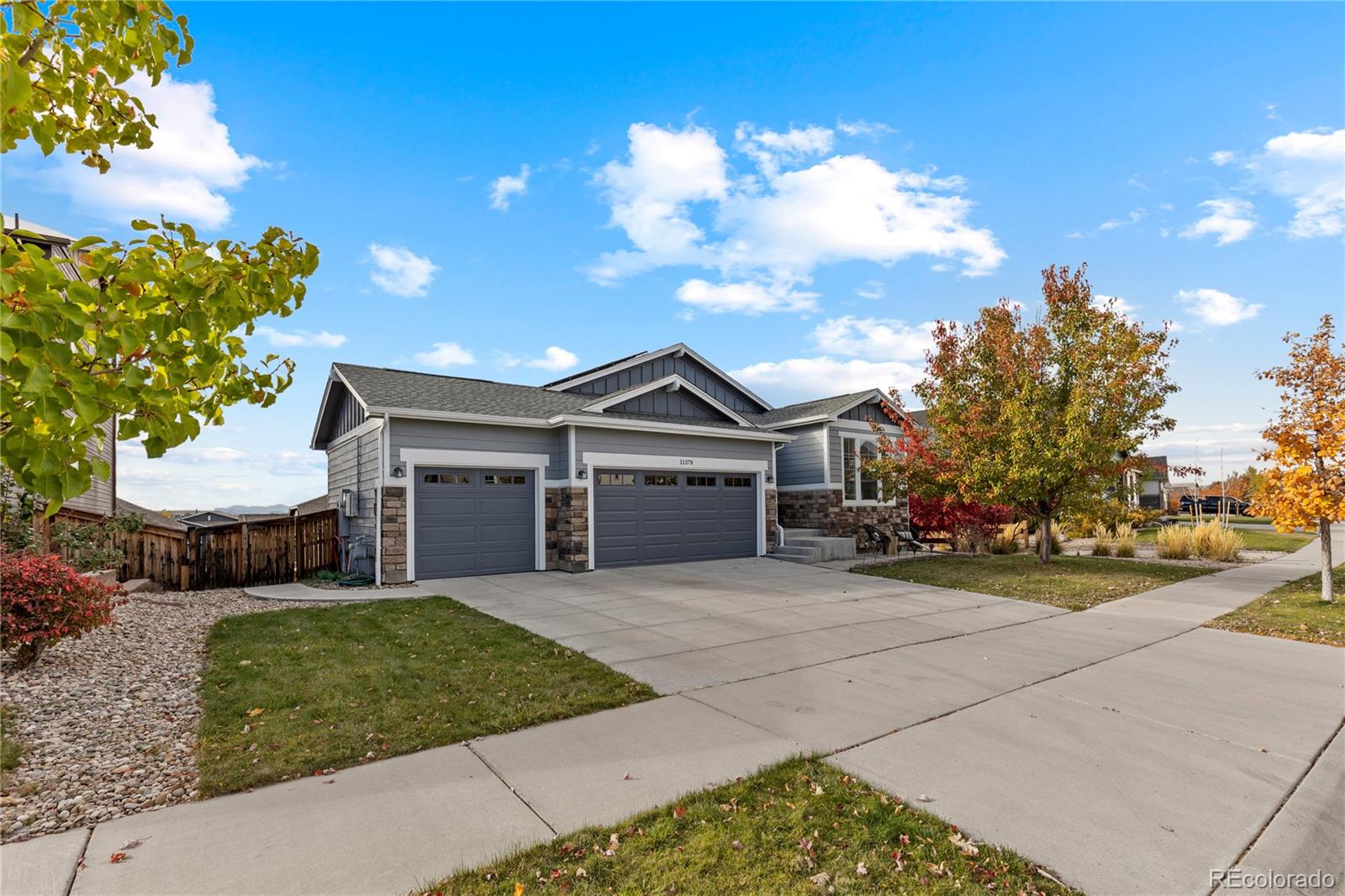 11379 Lovage Way