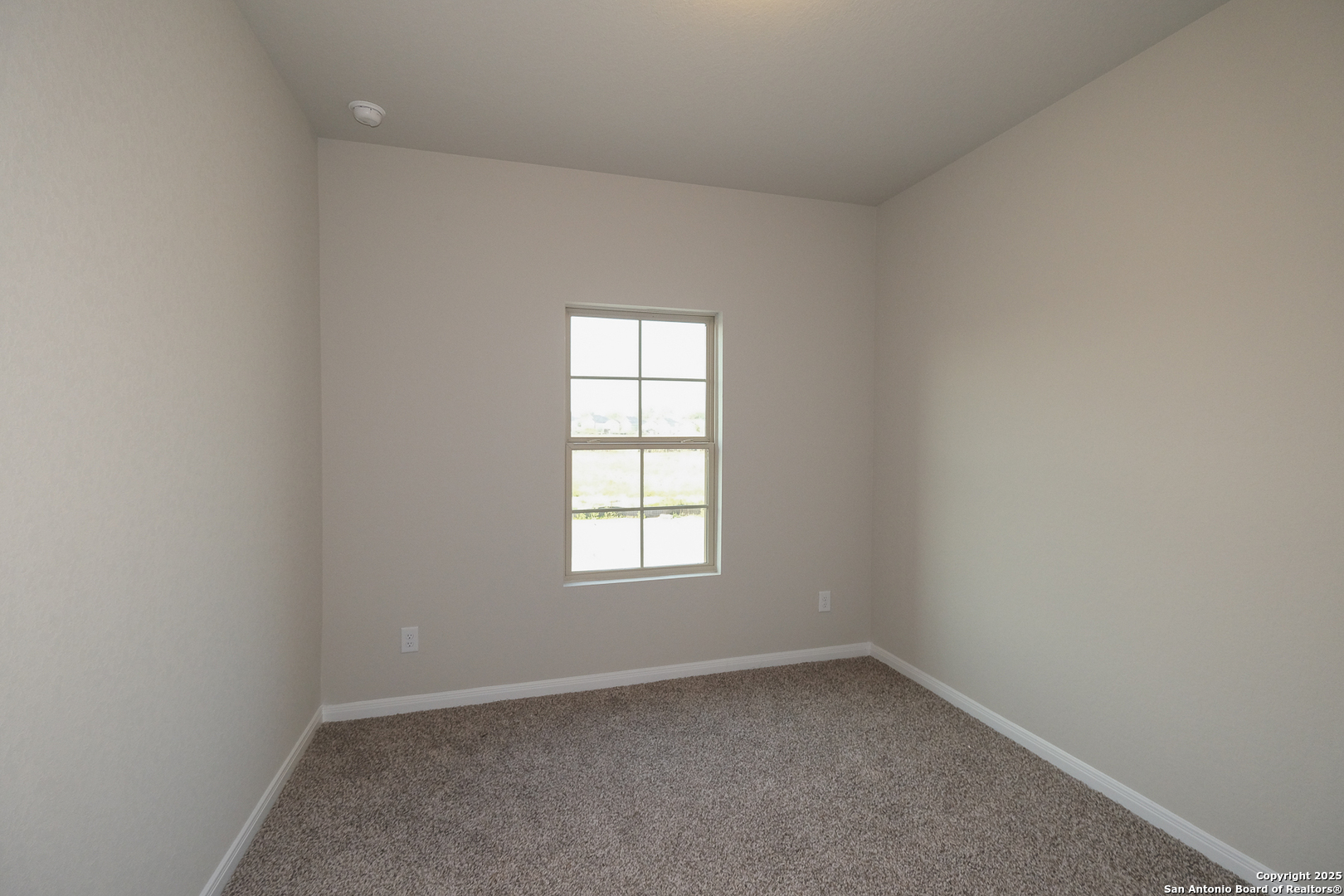 5019 Agave Blue Lane