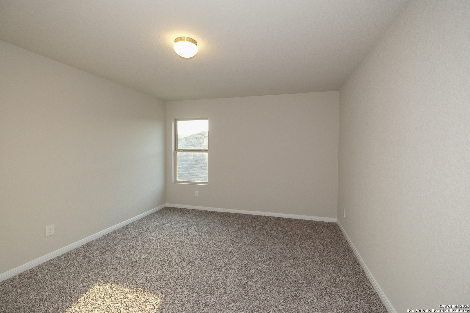 5019 Agave Blue Lane