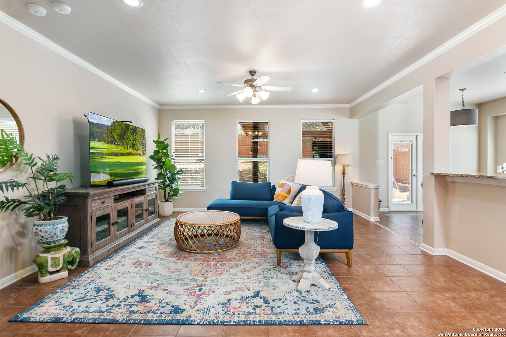 19538 Clay Oak