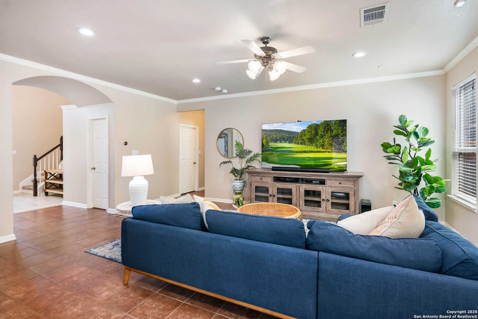 19538 Clay Oak