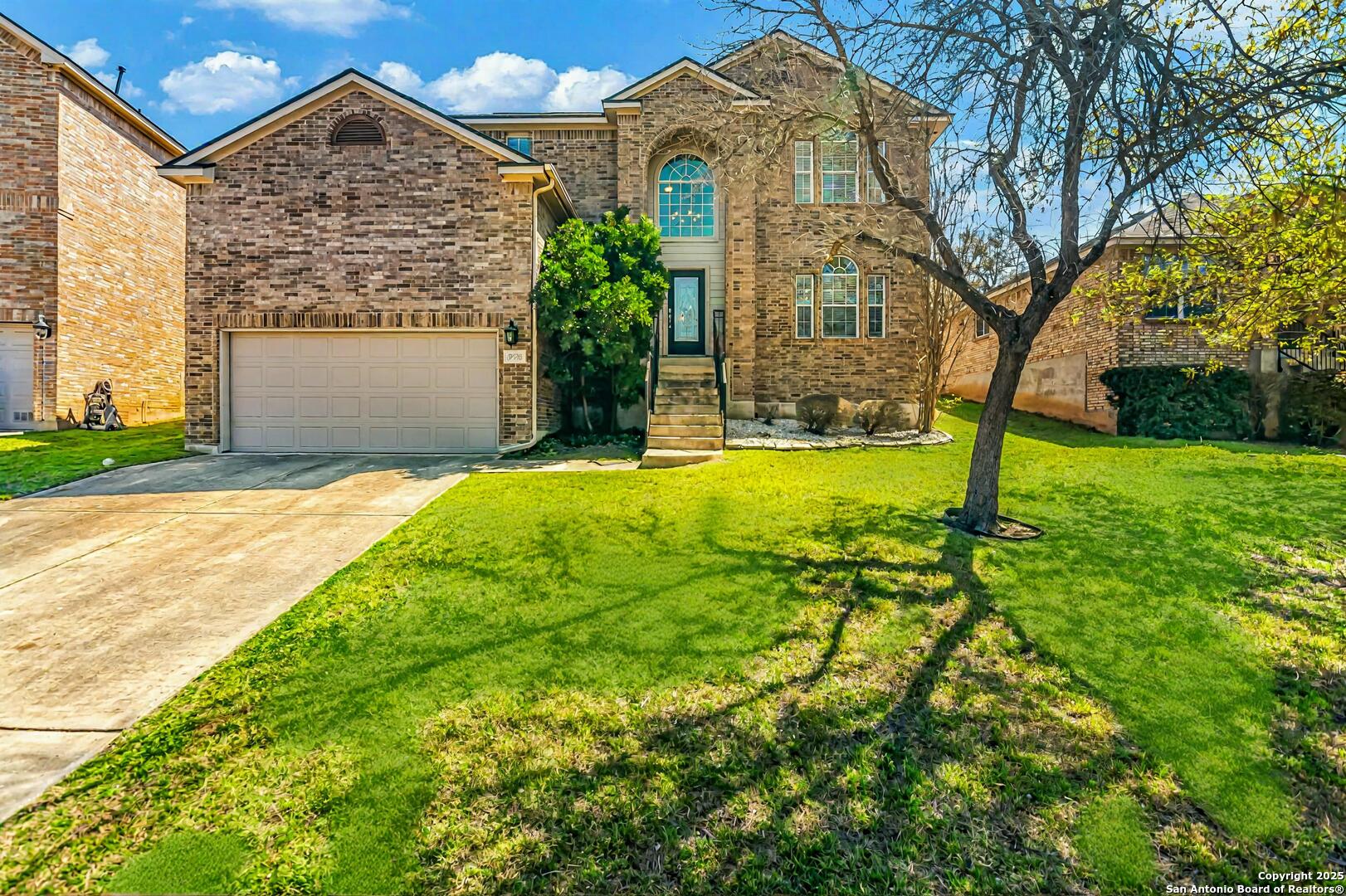 19538 Clay Oak