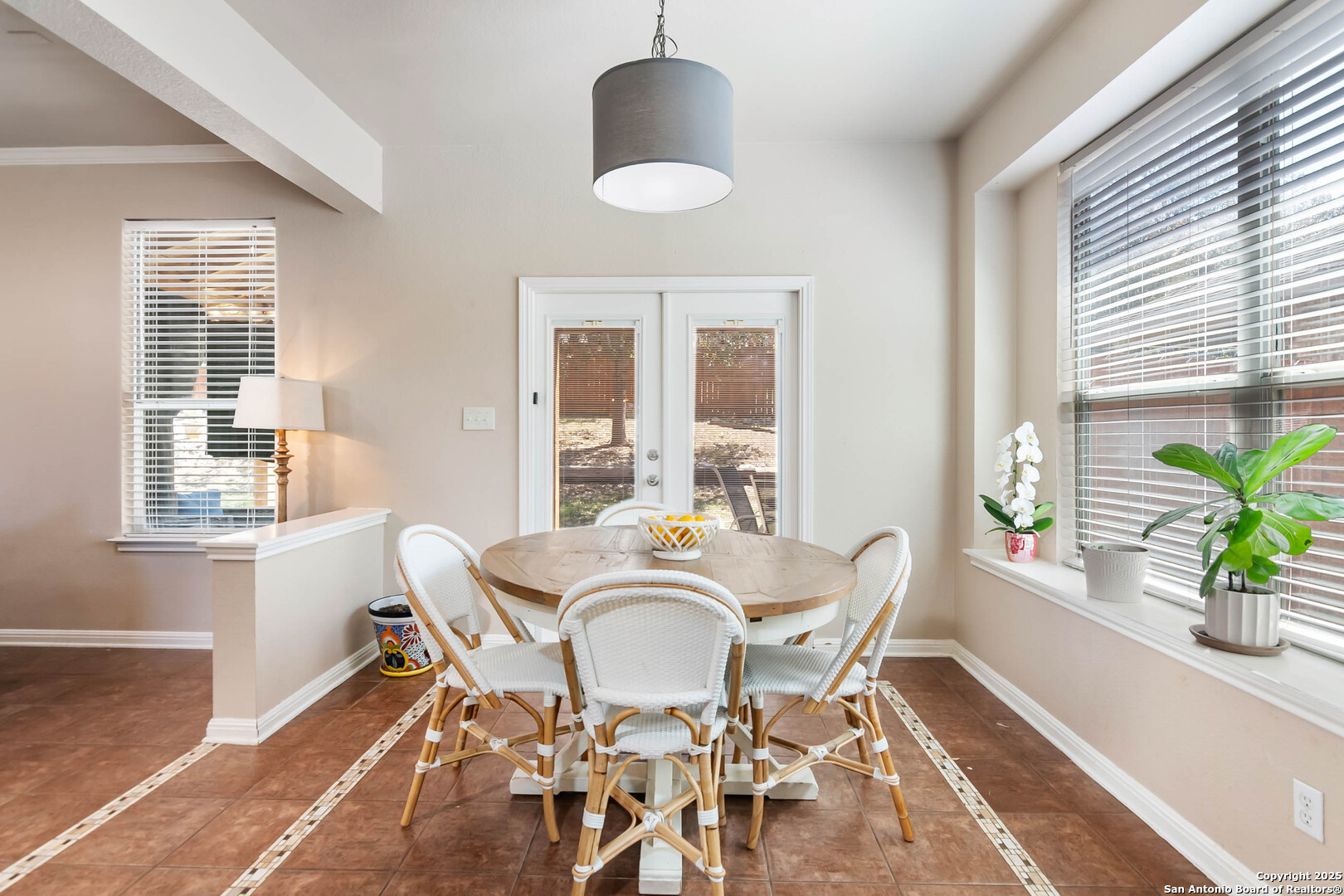 19538 Clay Oak