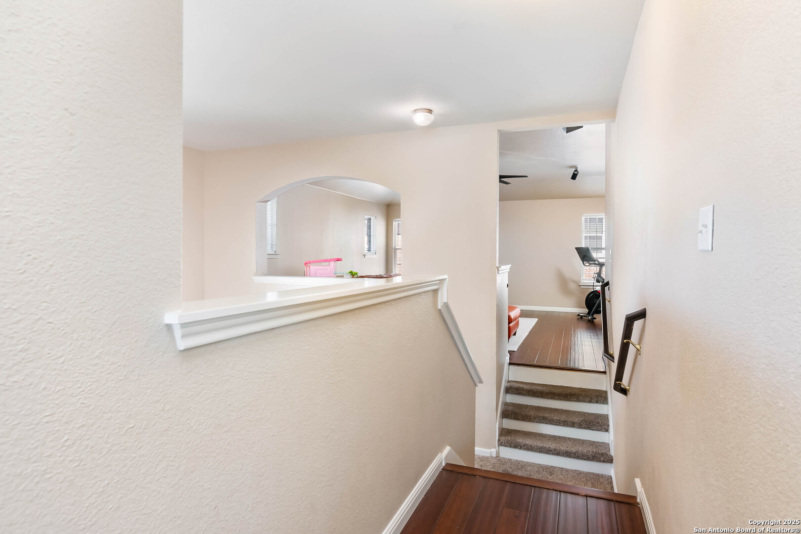 19538 Clay Oak
