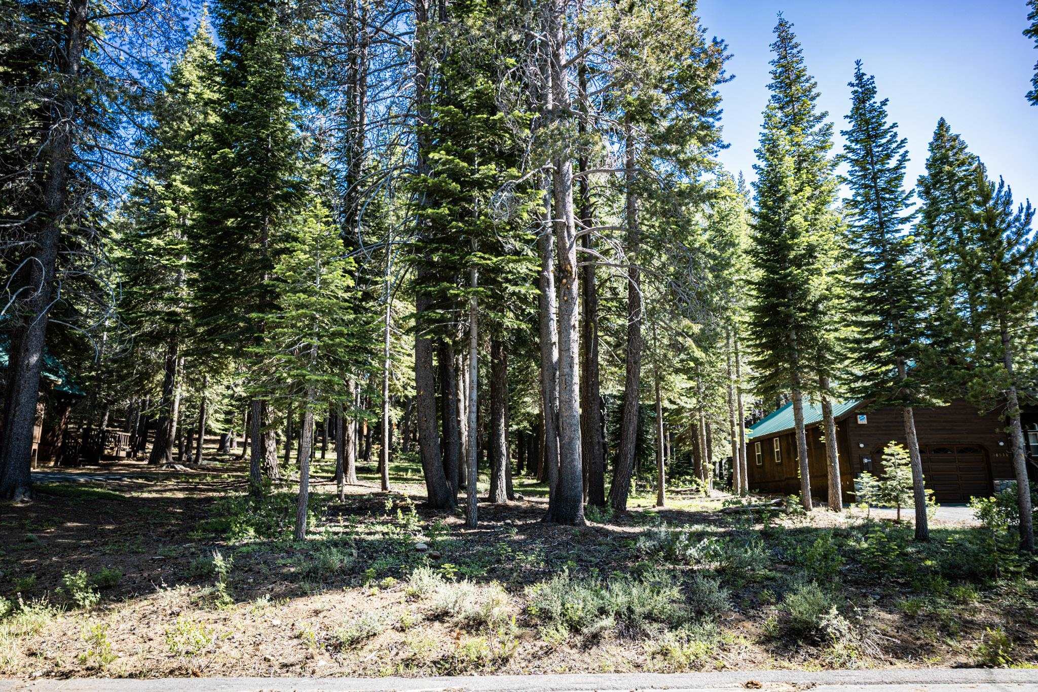 10529 Mougle Lane