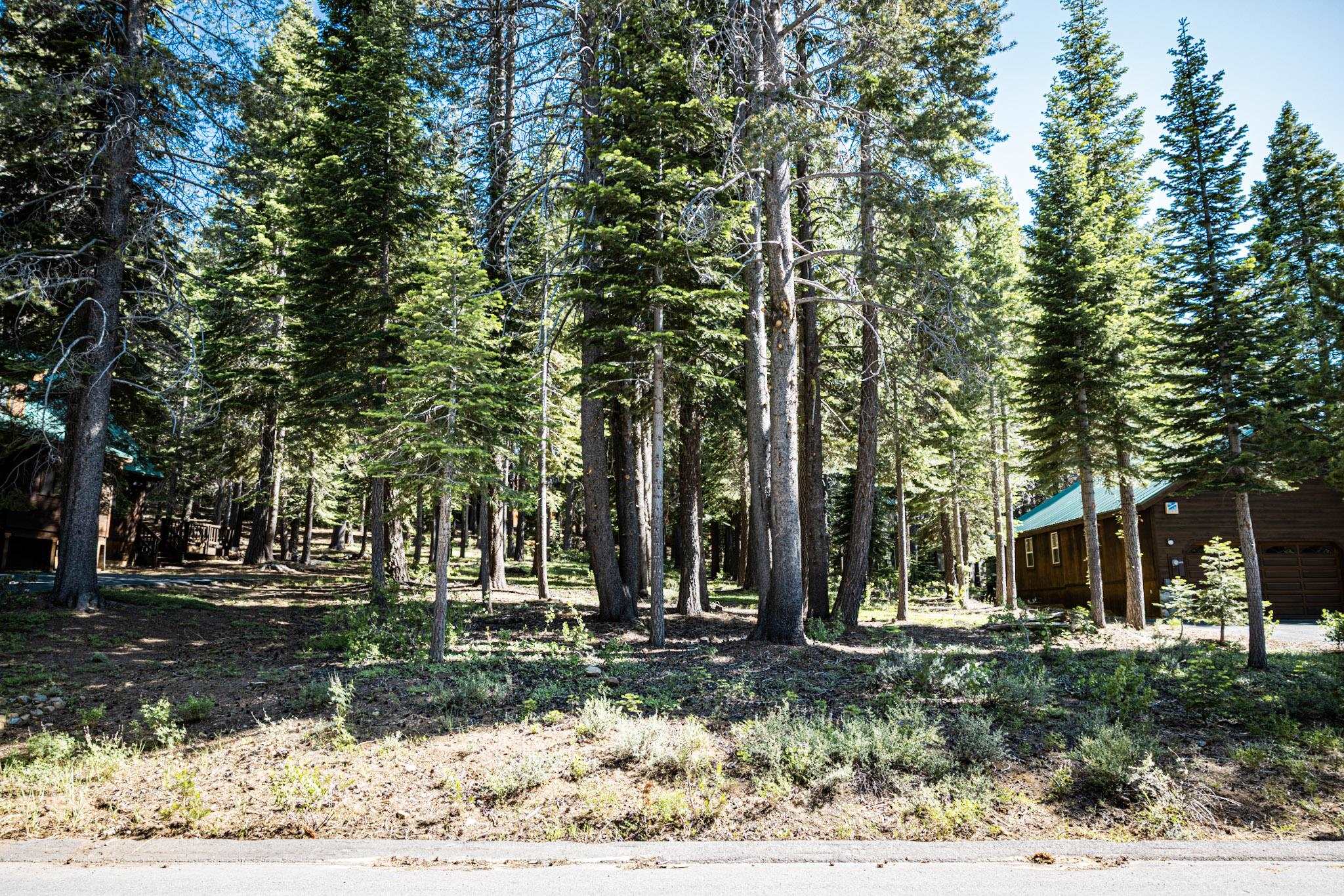 10529 Mougle Lane