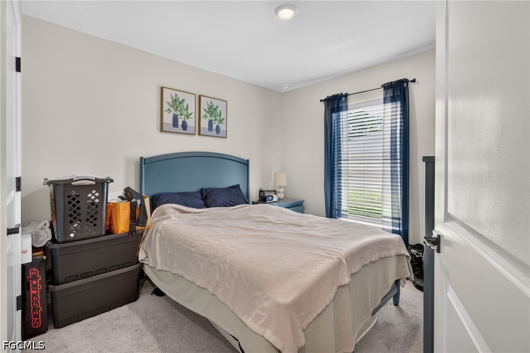 849 Sea Urchin CIR