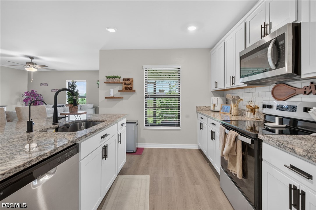 849 Sea Urchin CIR