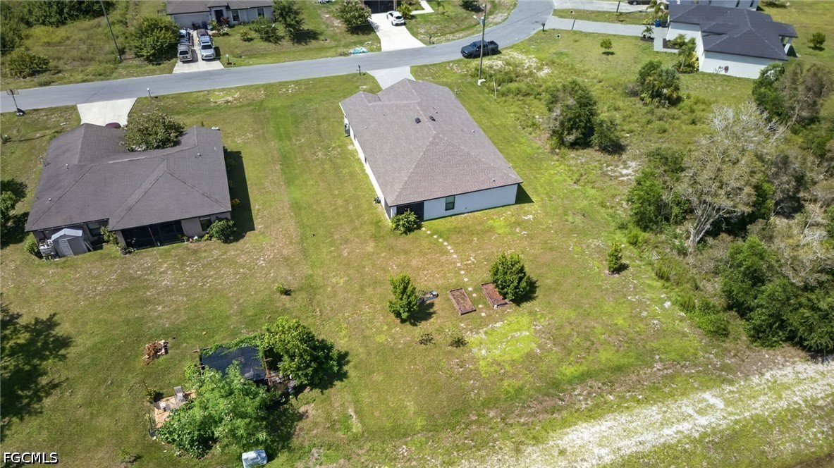 849 Sea Urchin CIR