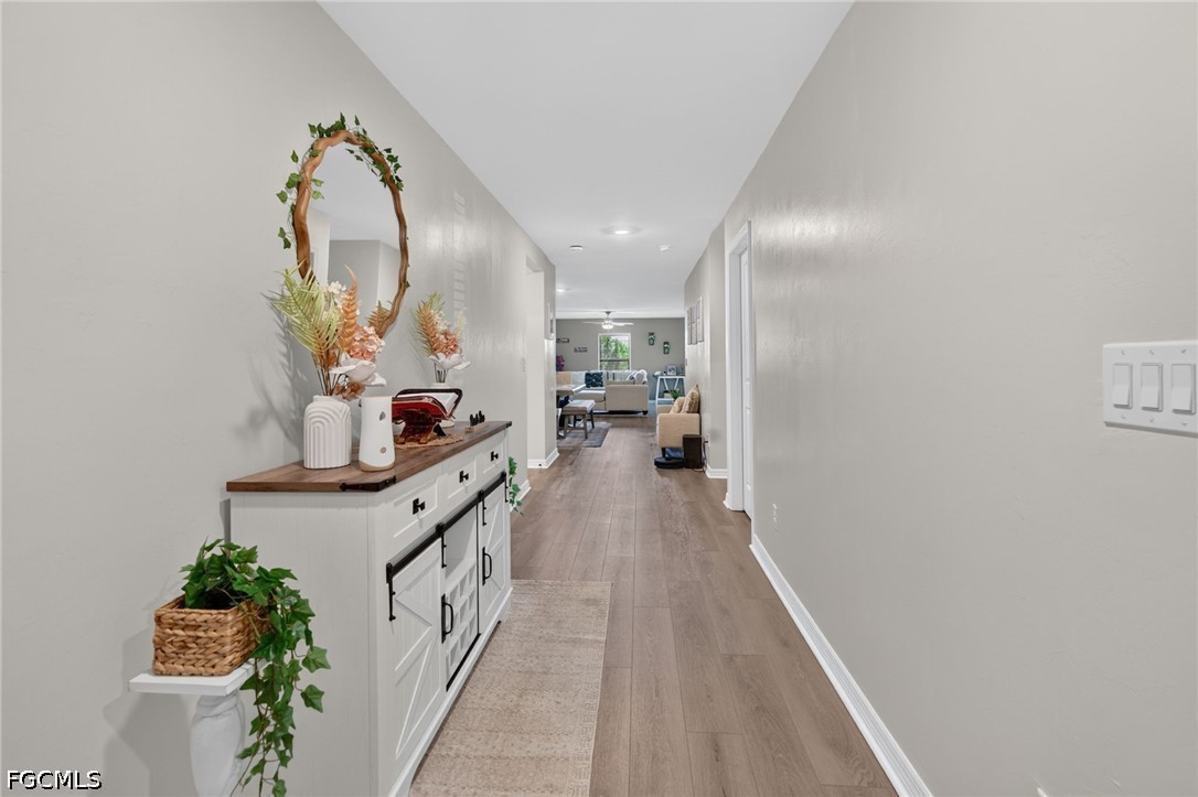 849 Sea Urchin CIR