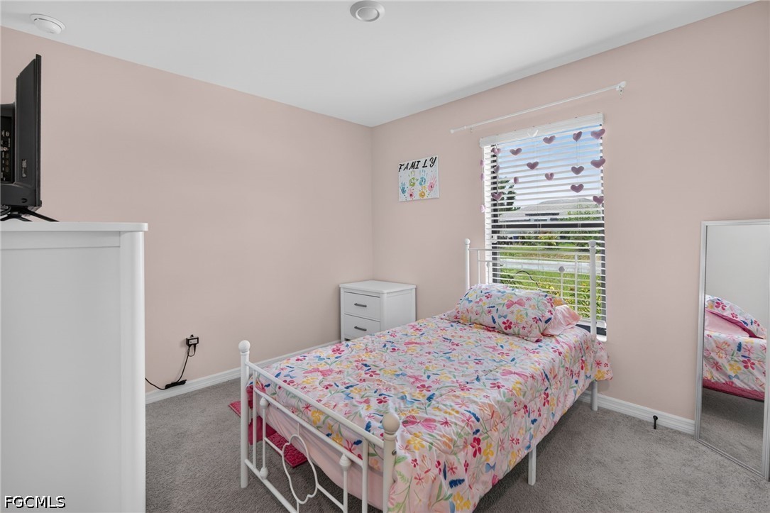 849 Sea Urchin CIR