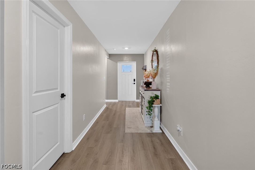 849 Sea Urchin CIR