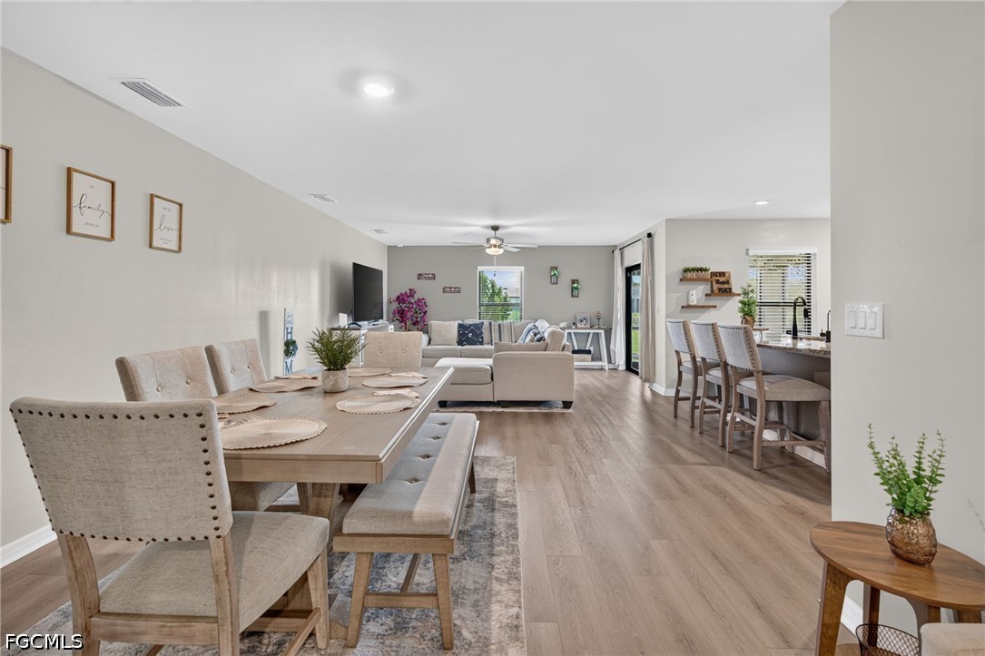 849 Sea Urchin CIR