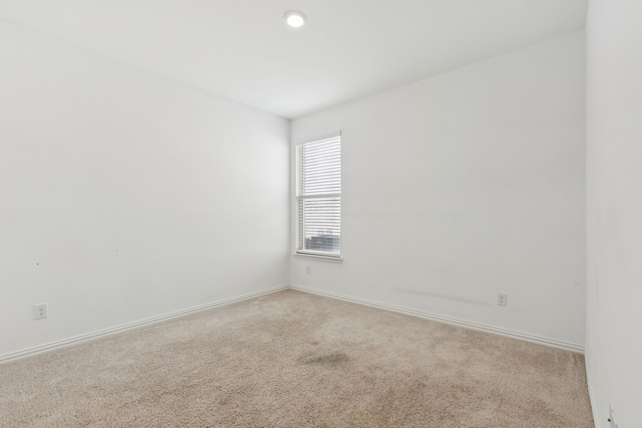 7933 Lindheimer Lane