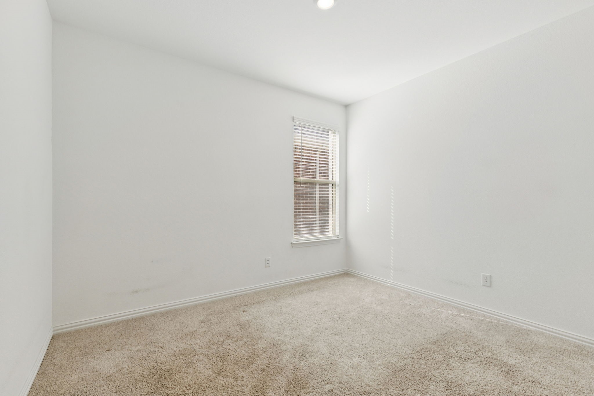 7933 Lindheimer Lane