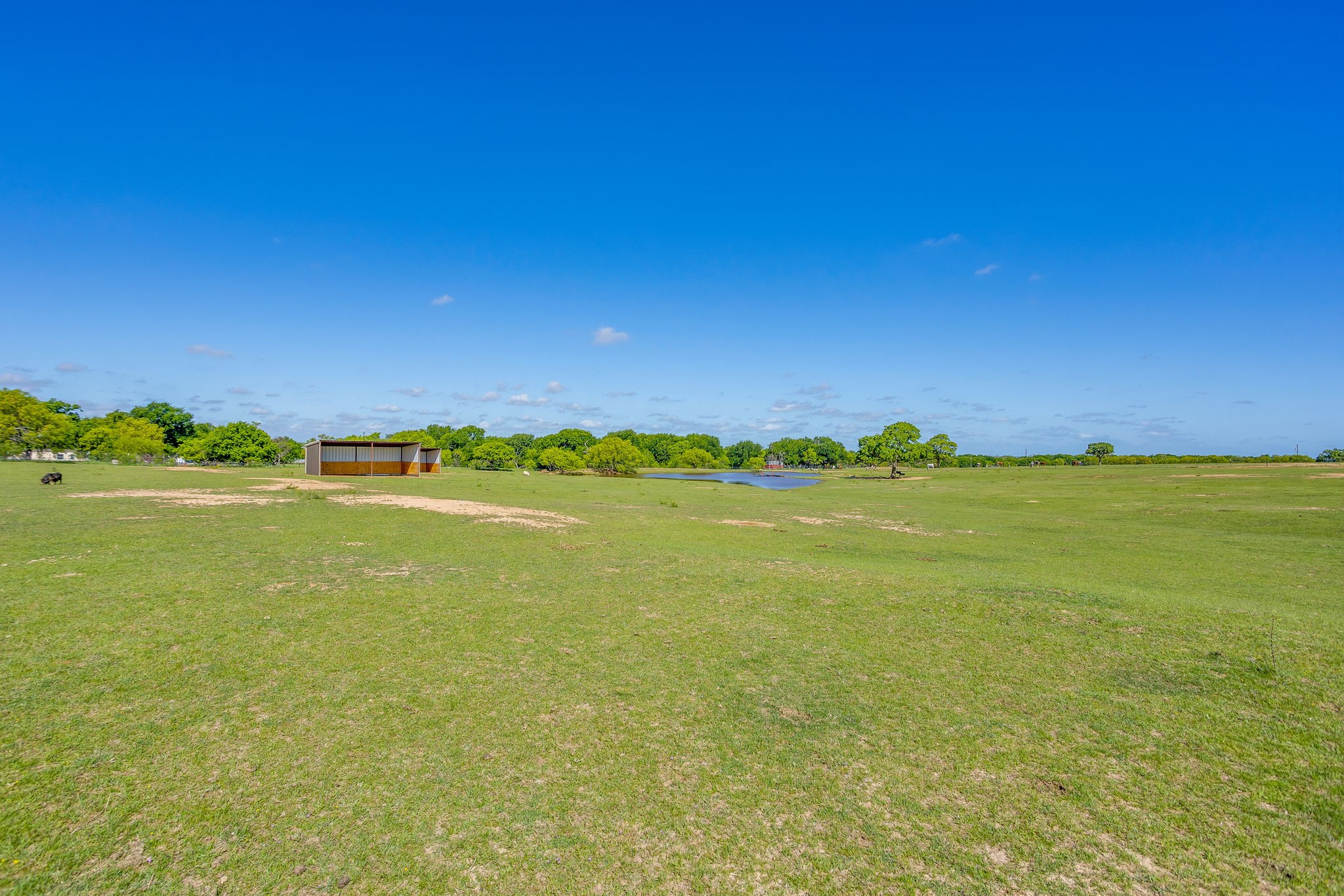 3678 County Road 3655