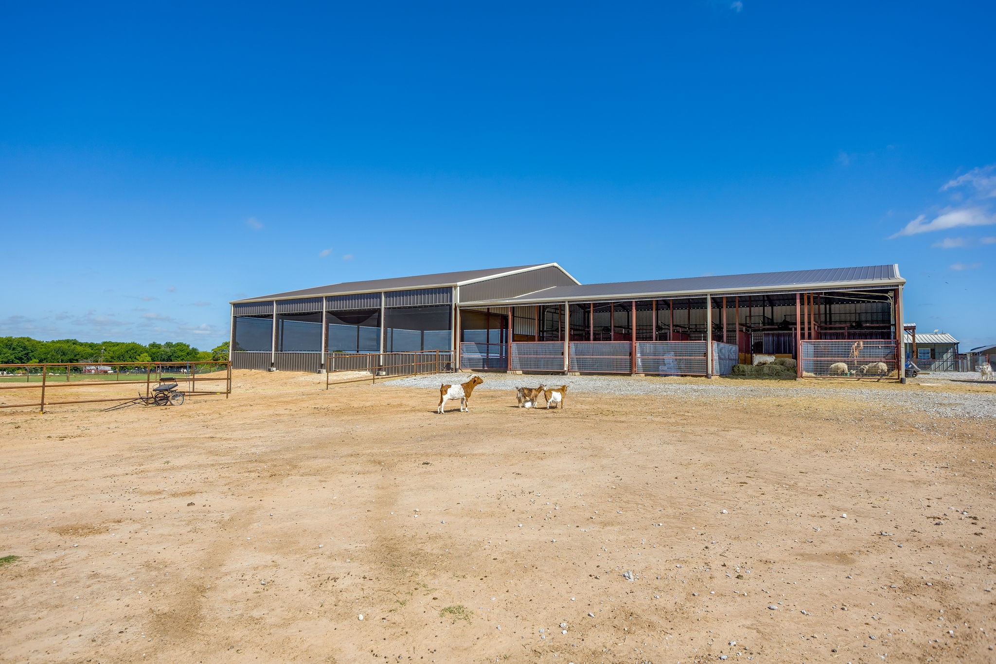 3678 County Road 3655