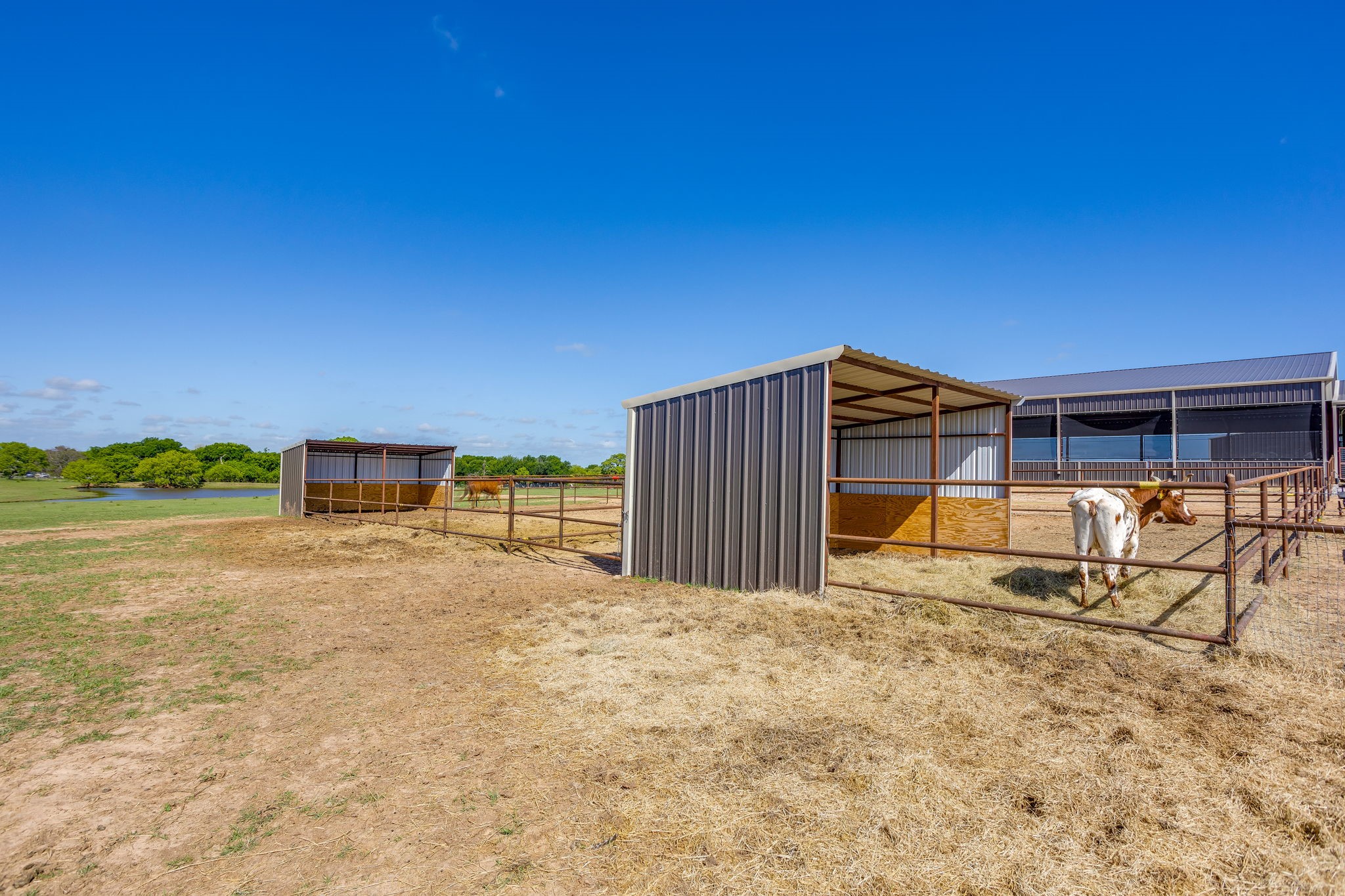 3678 County Road 3655