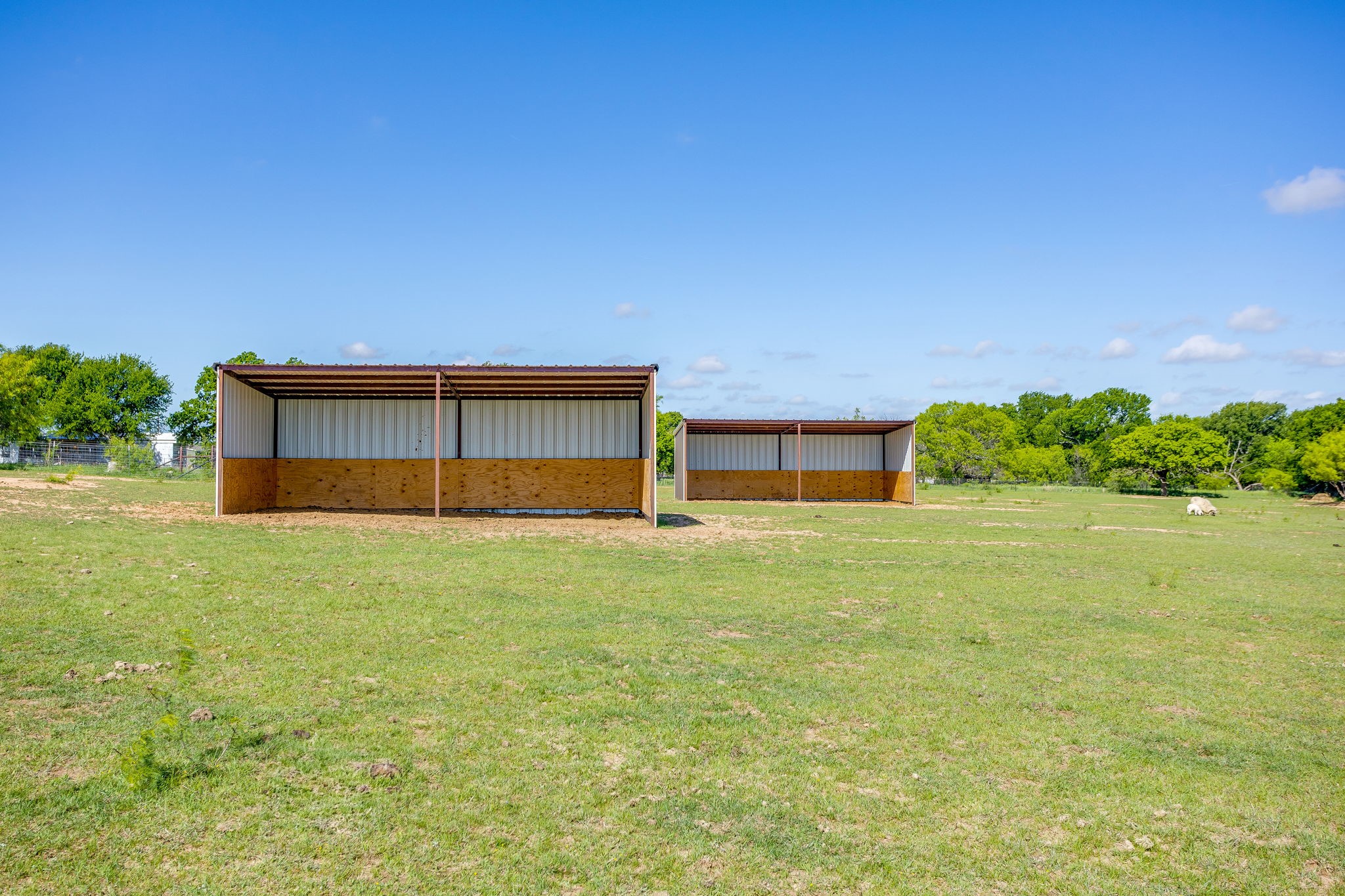 3678 County Road 3655
