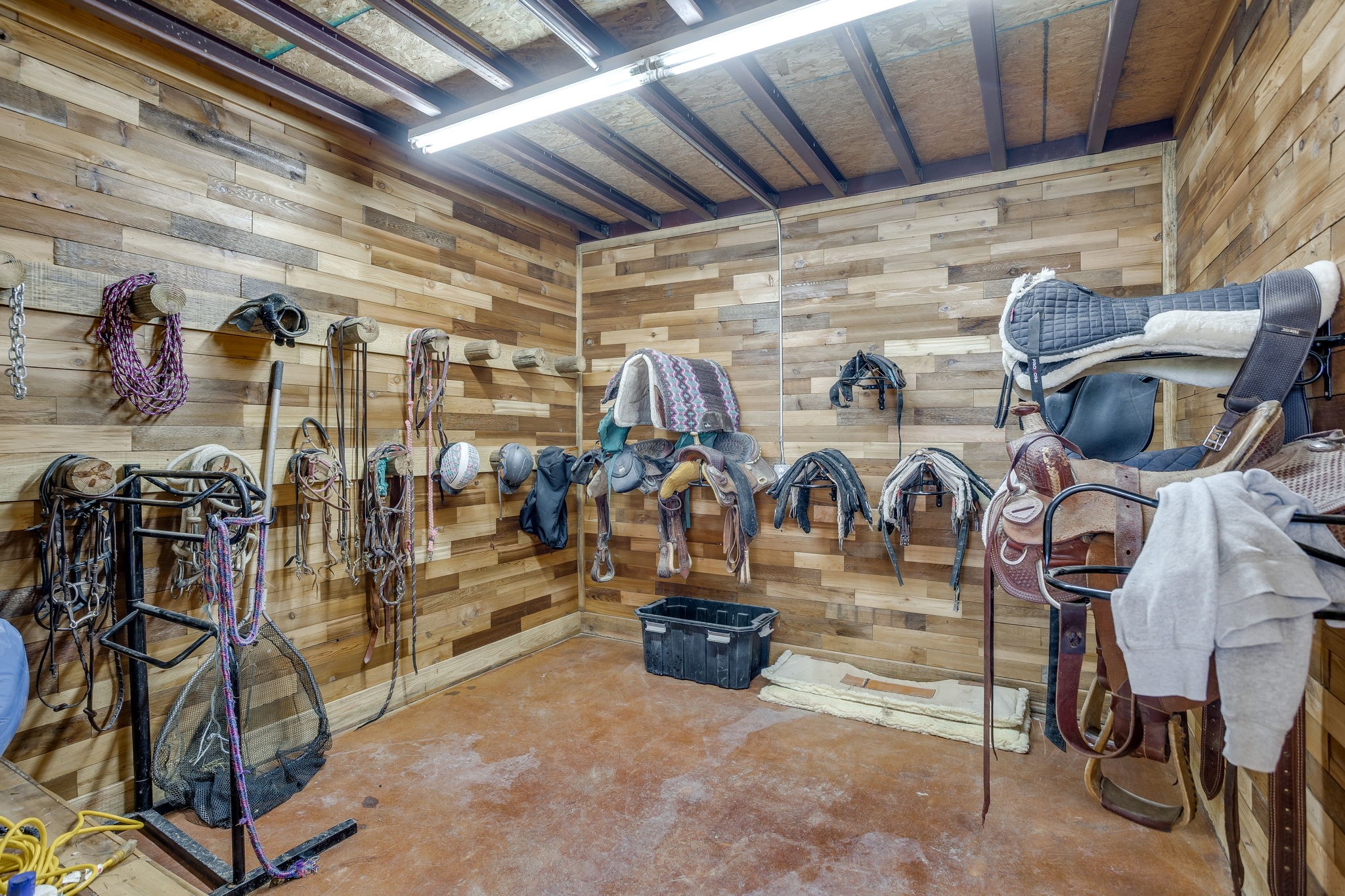 3678 County Road 3655
