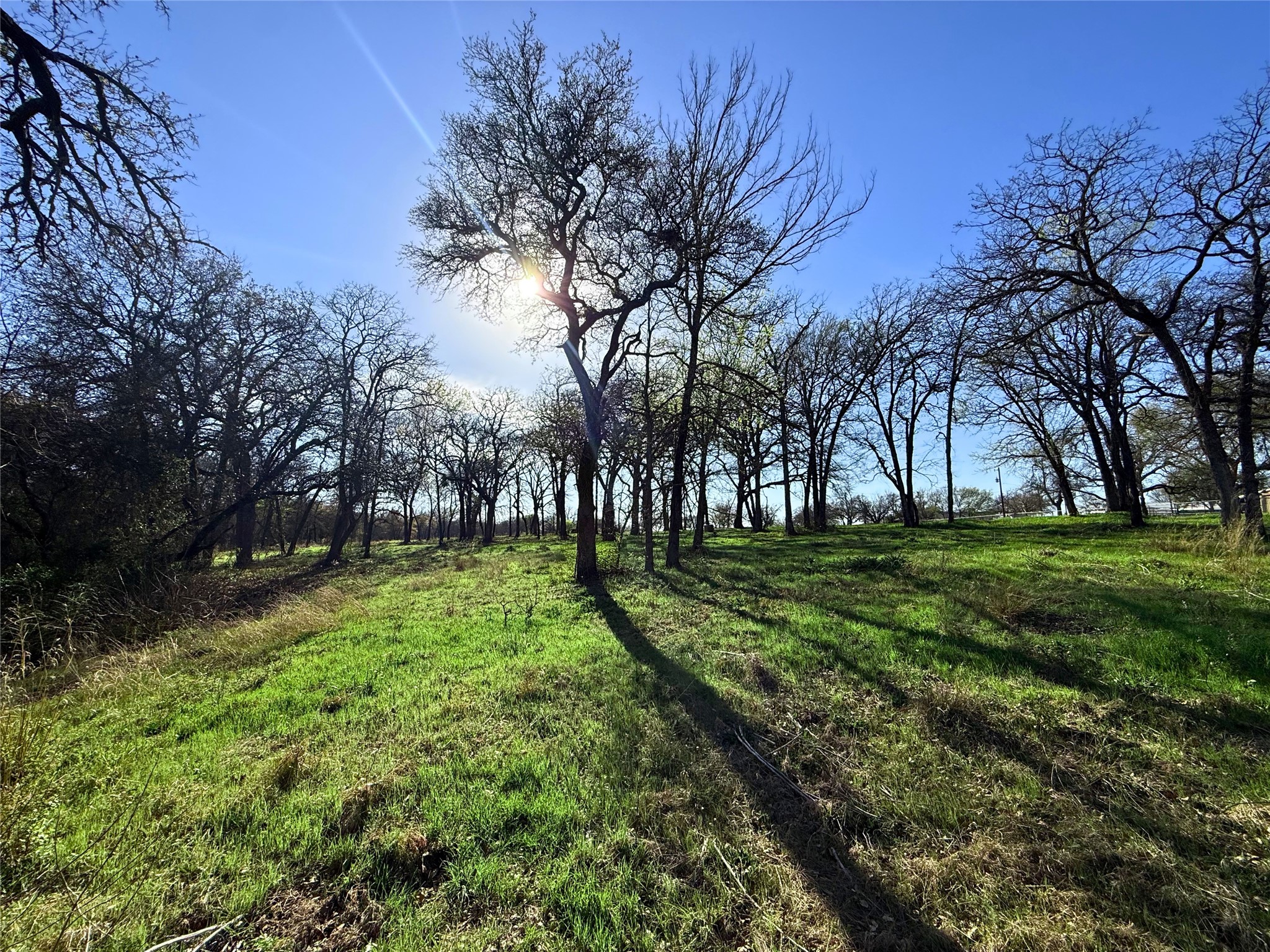 2196 Old Agnes Road