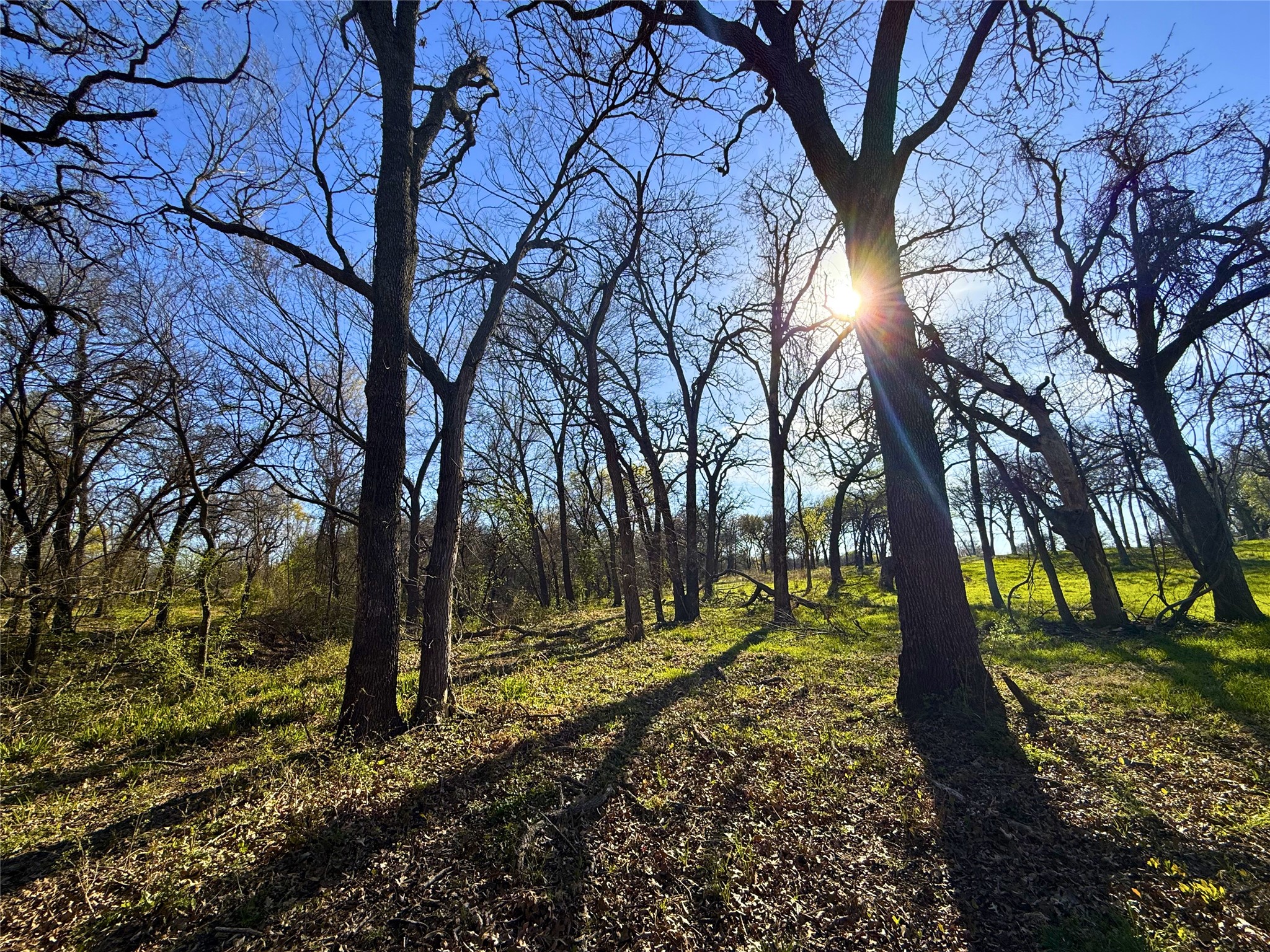 2196 Old Agnes Road
