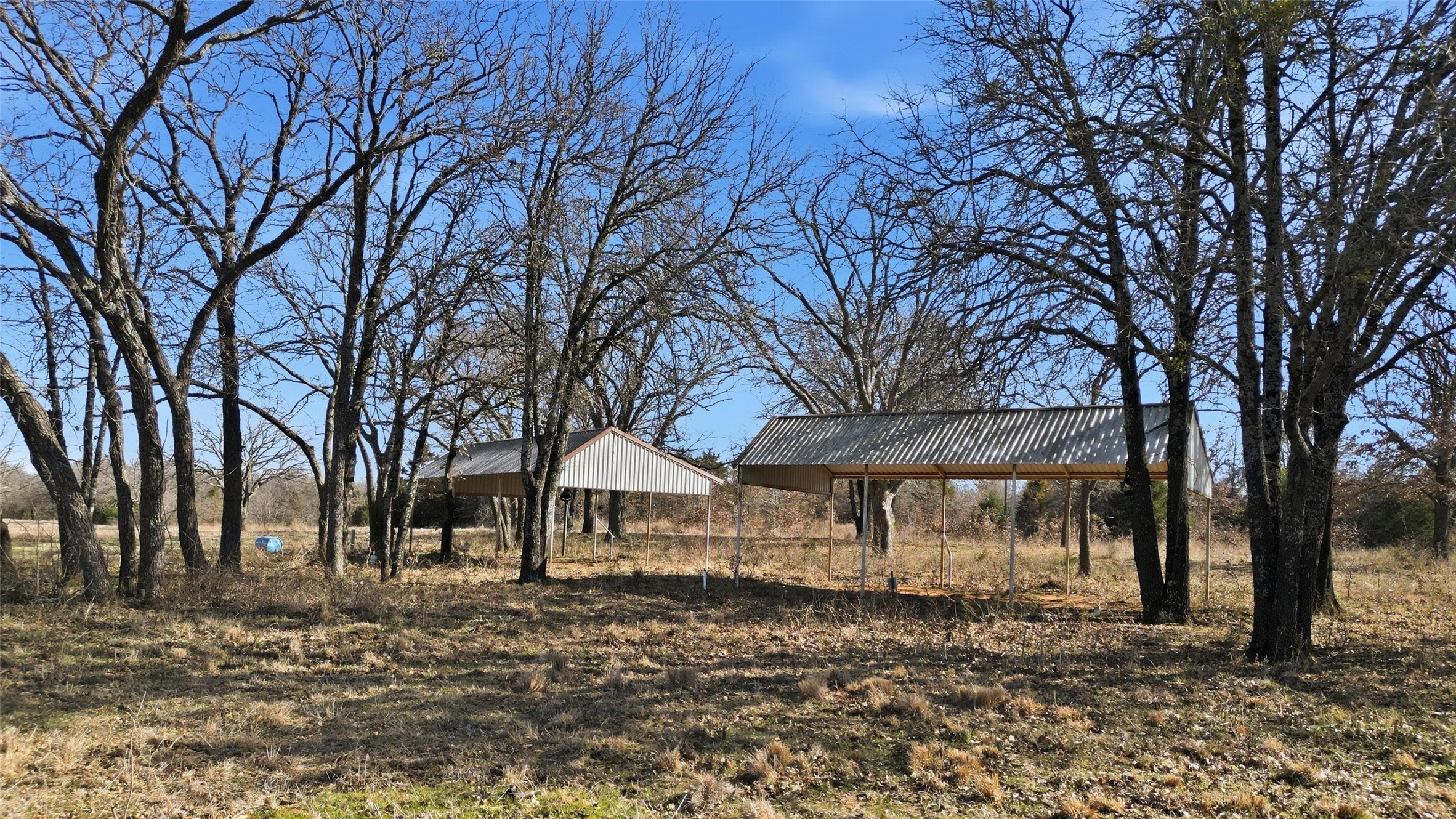 1619 County 156 Road