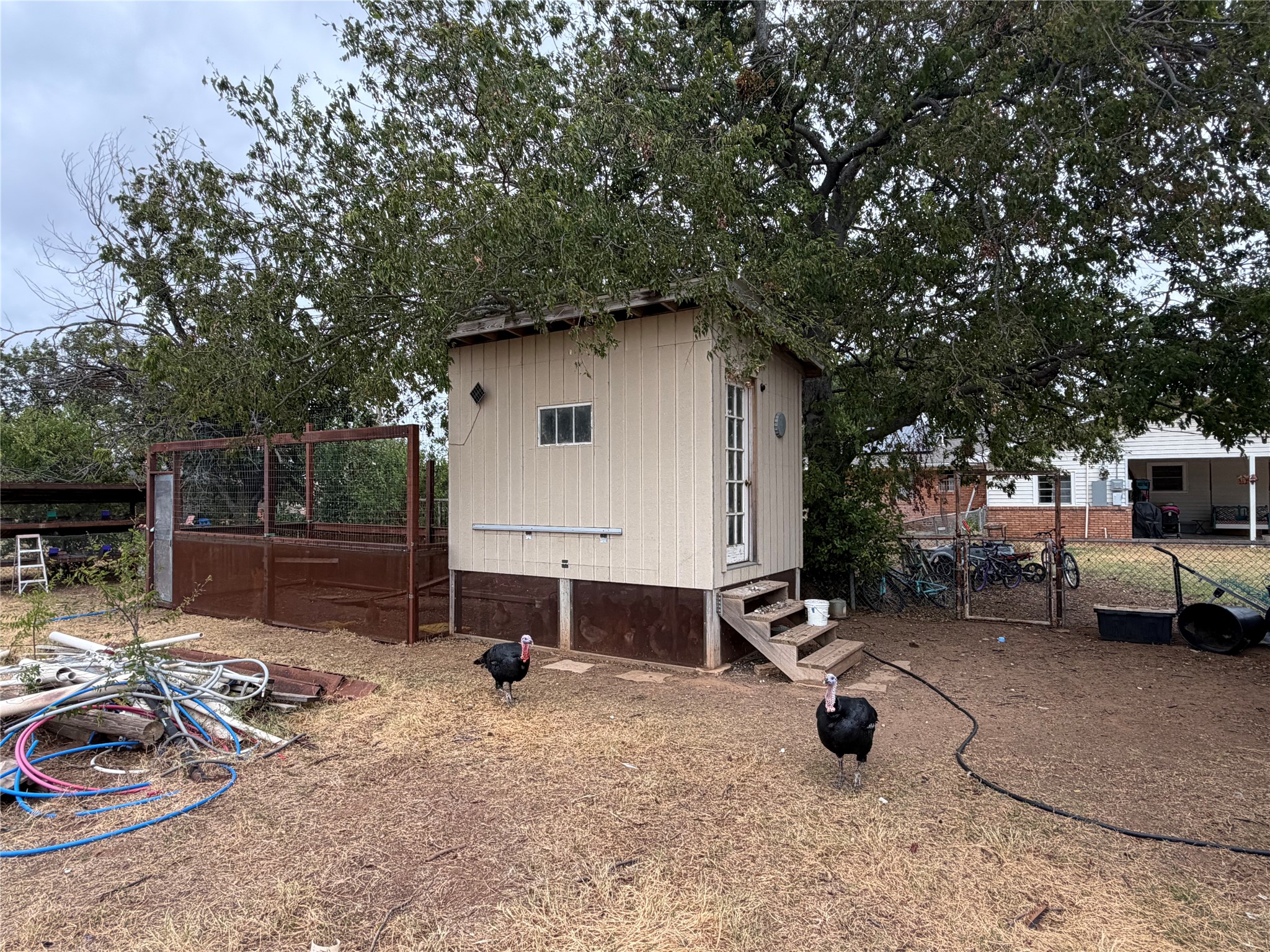 1509 State Highway 67