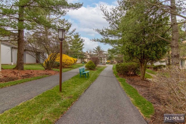 12 Buchanon Court