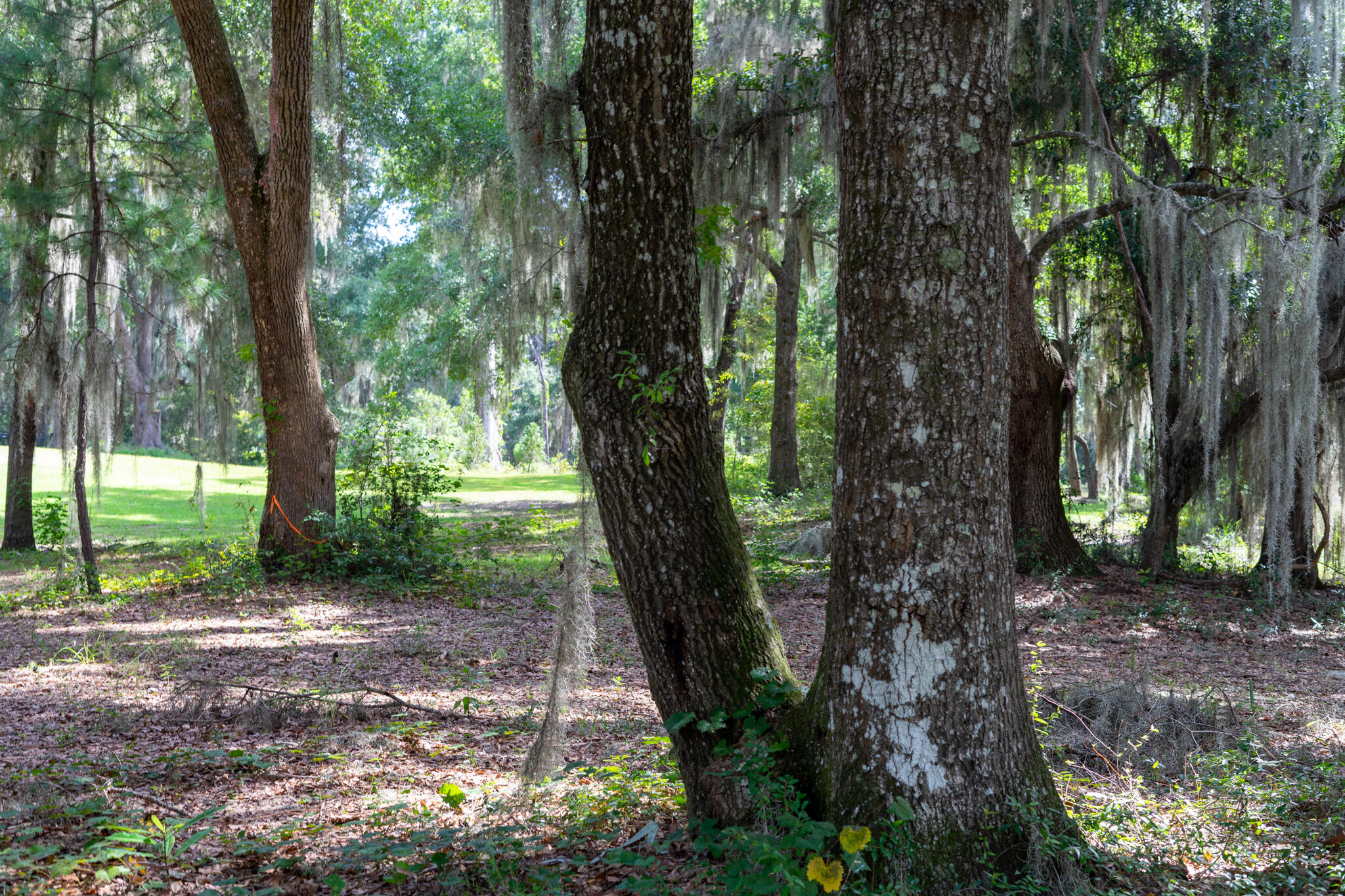 4139 Nature View Circle