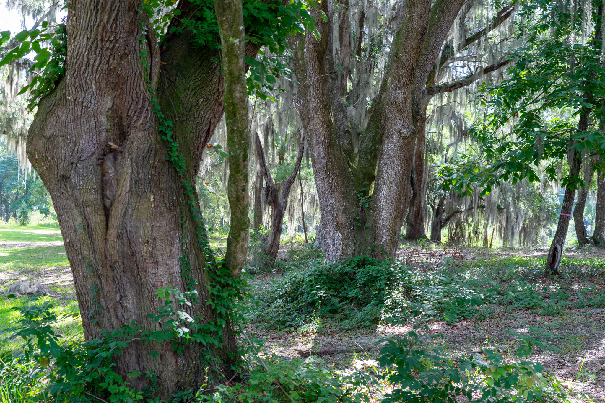 4139 Nature View Circle