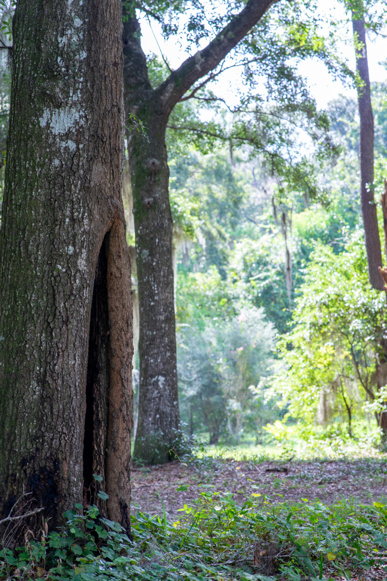 4139 Nature View Circle