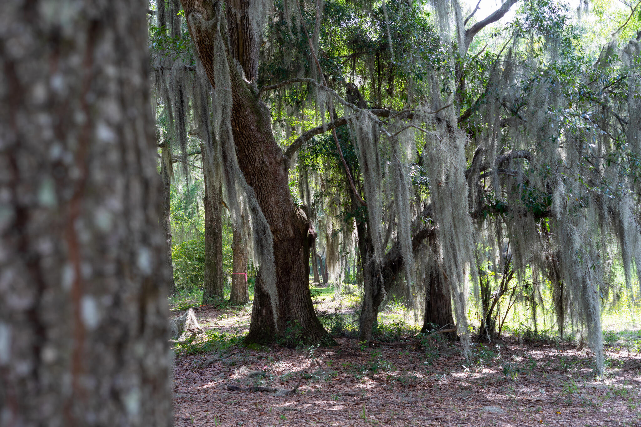 4139 Nature View Circle