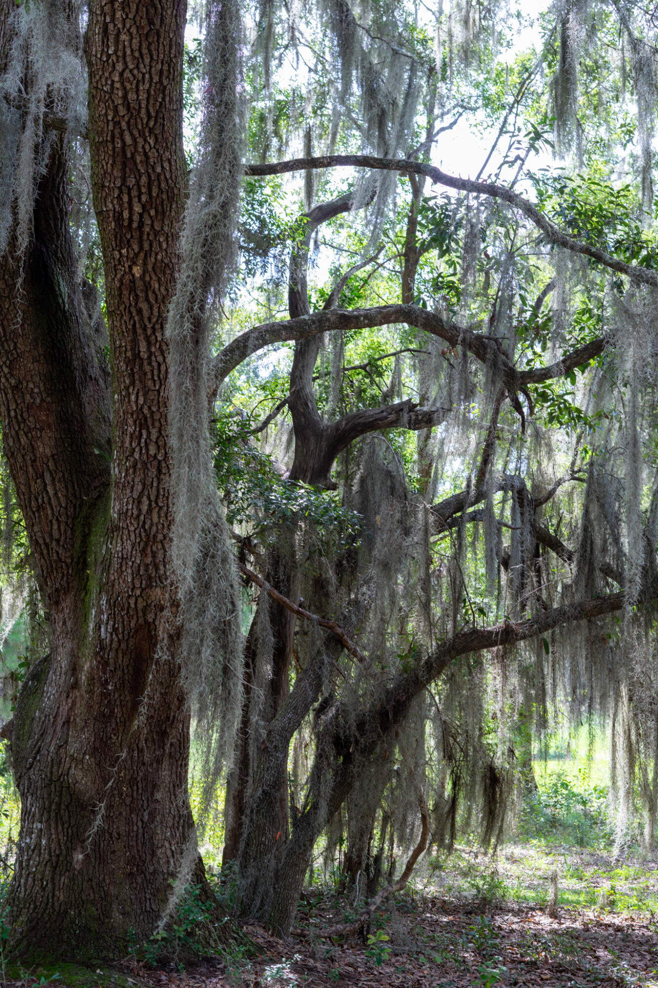 4139 Nature View Circle