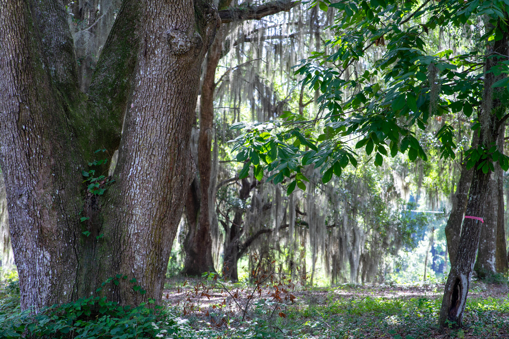 4139 Nature View Circle