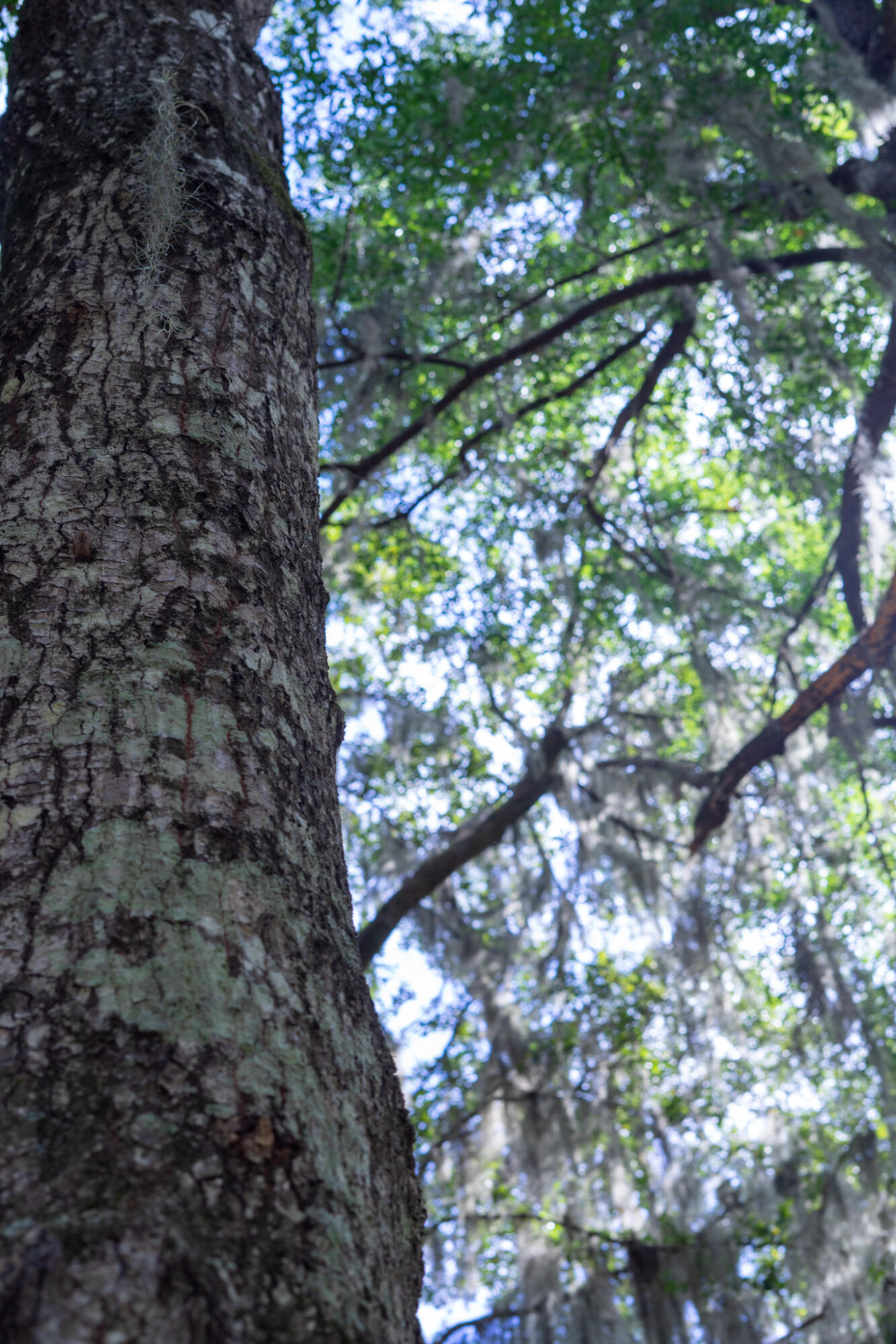 4139 Nature View Circle