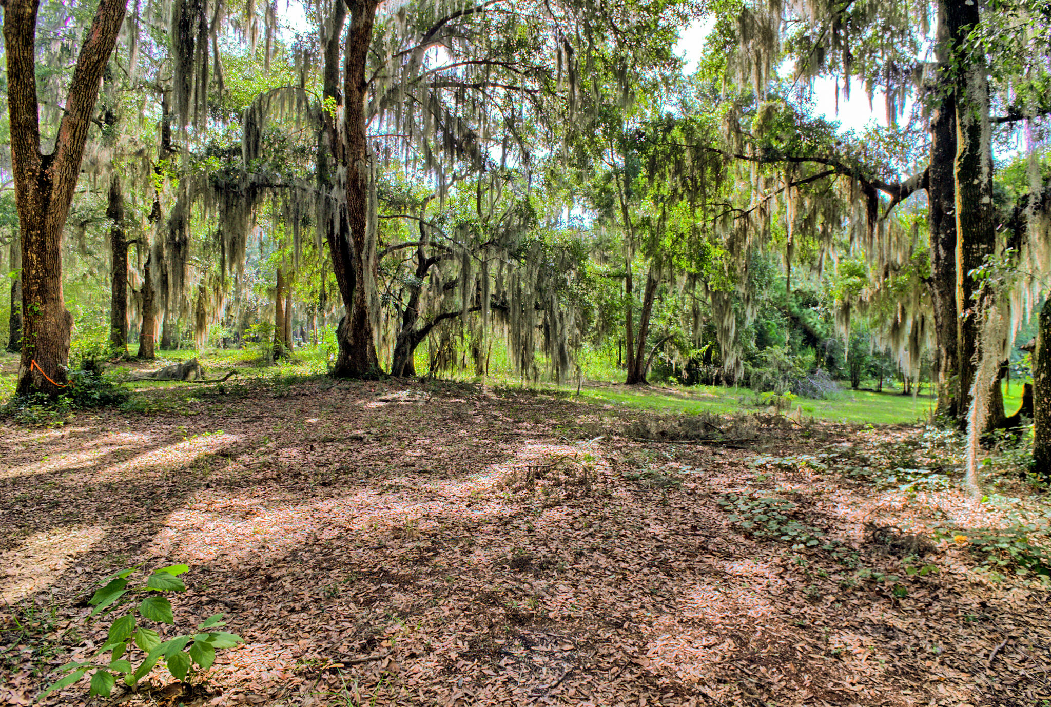 4139 Nature View Circle