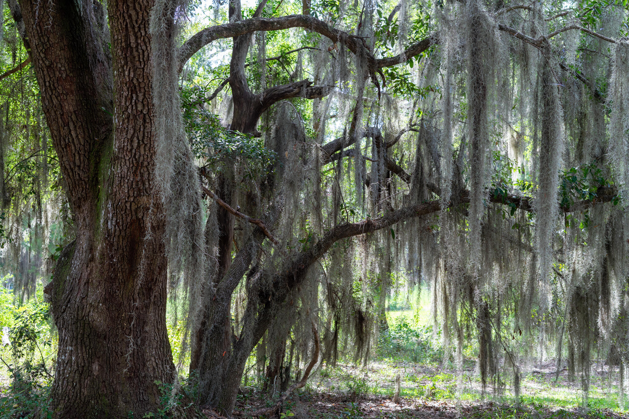 4139 Nature View Circle