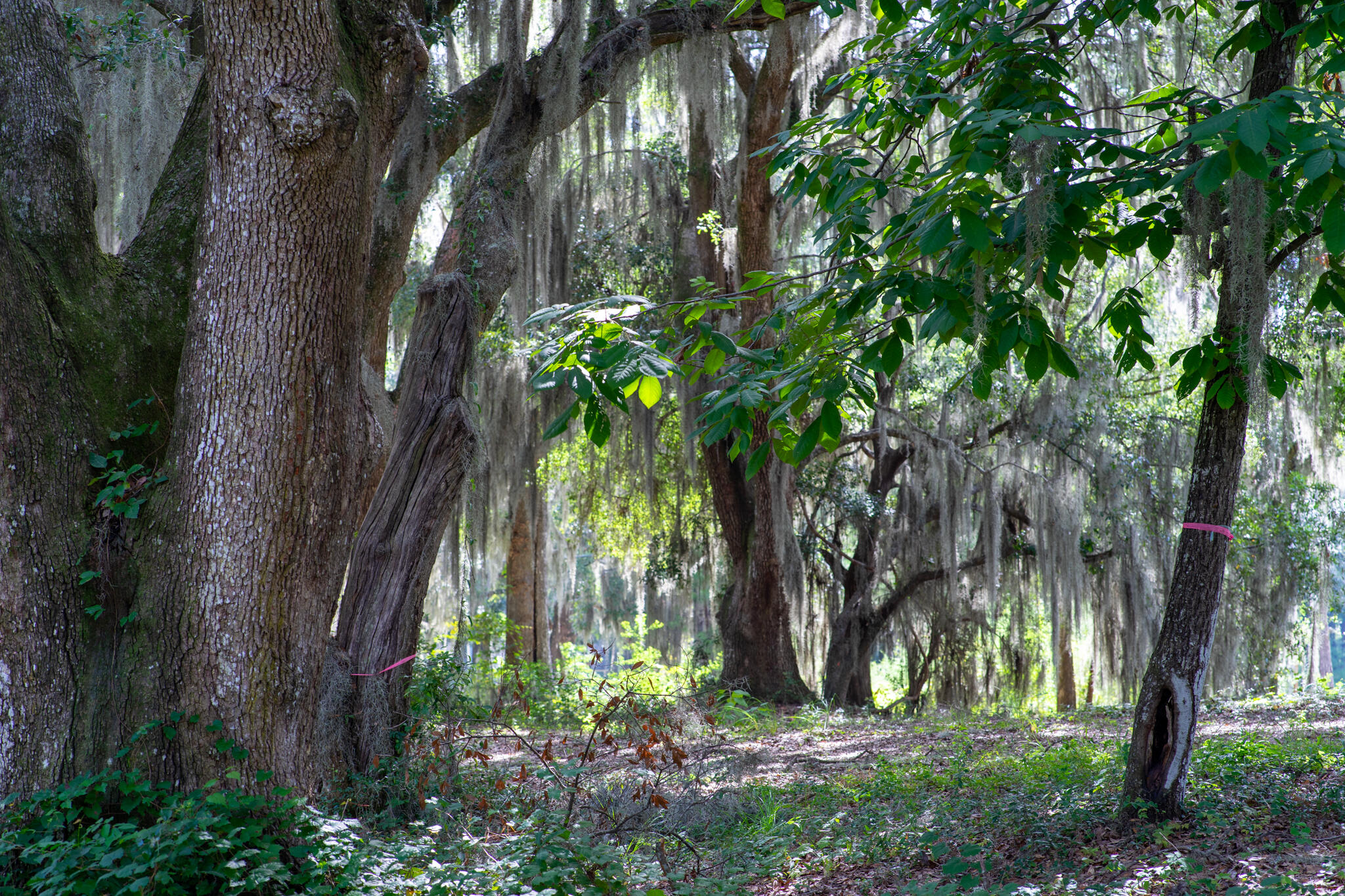 4139 Nature View Circle