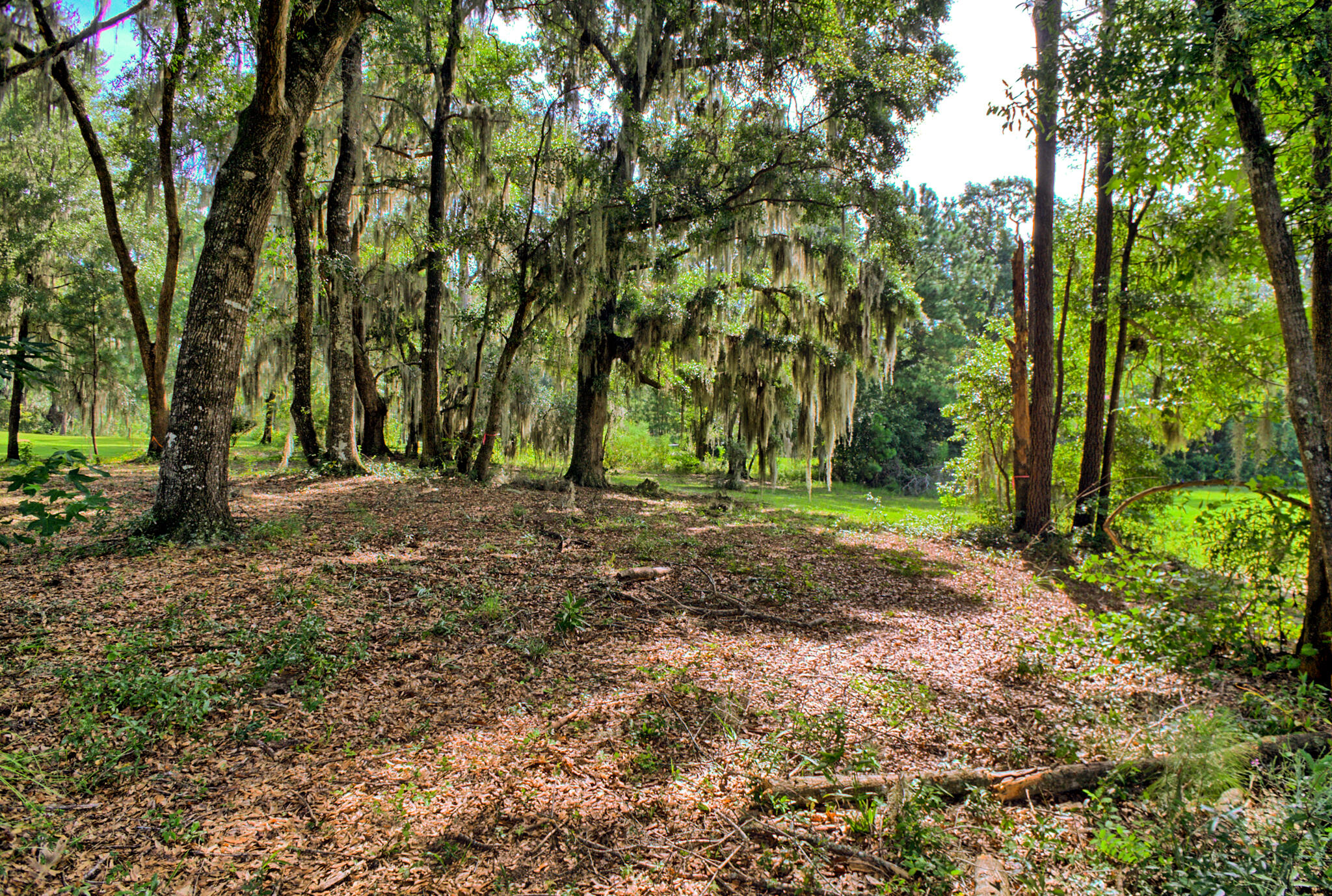 4139 Nature View Circle