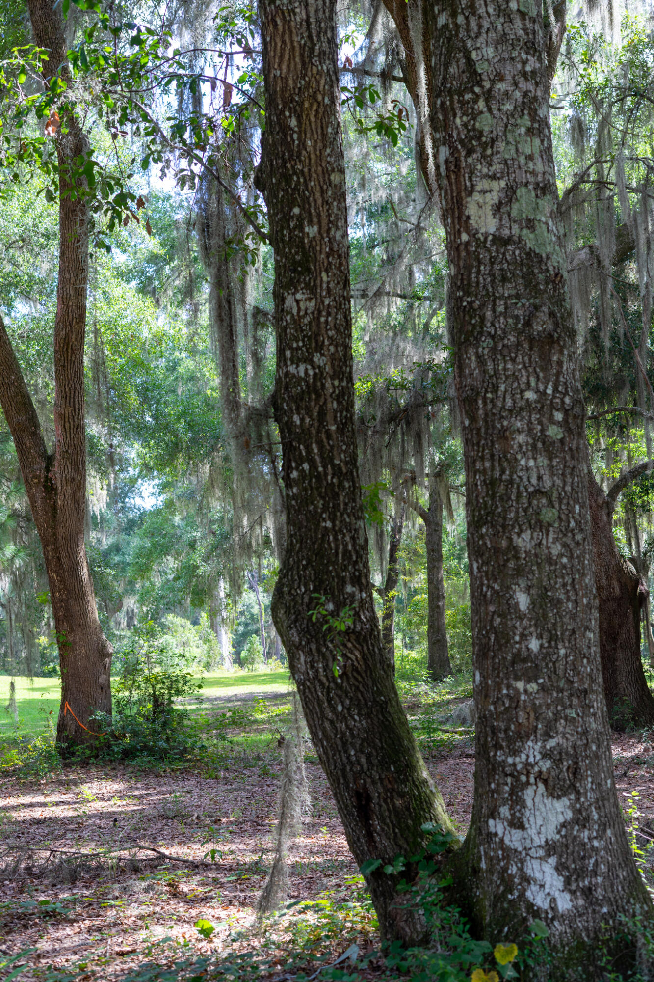 4139 Nature View Circle