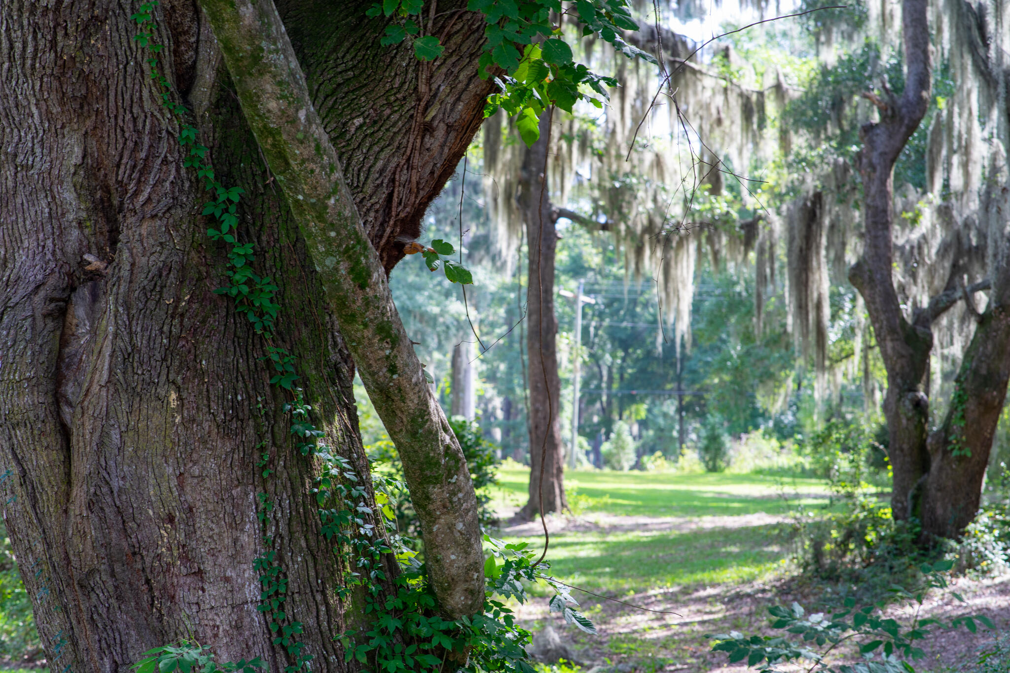 4139 Nature View Circle