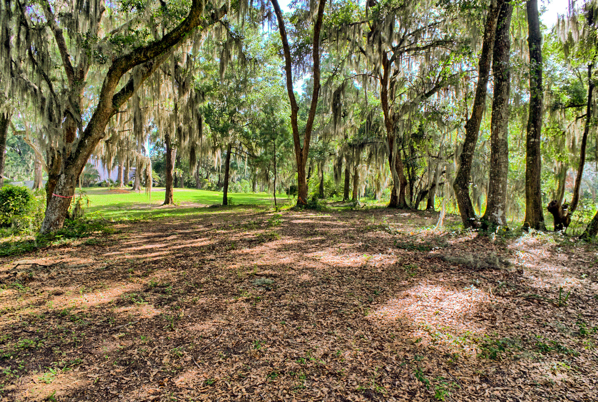 4139 Nature View Circle