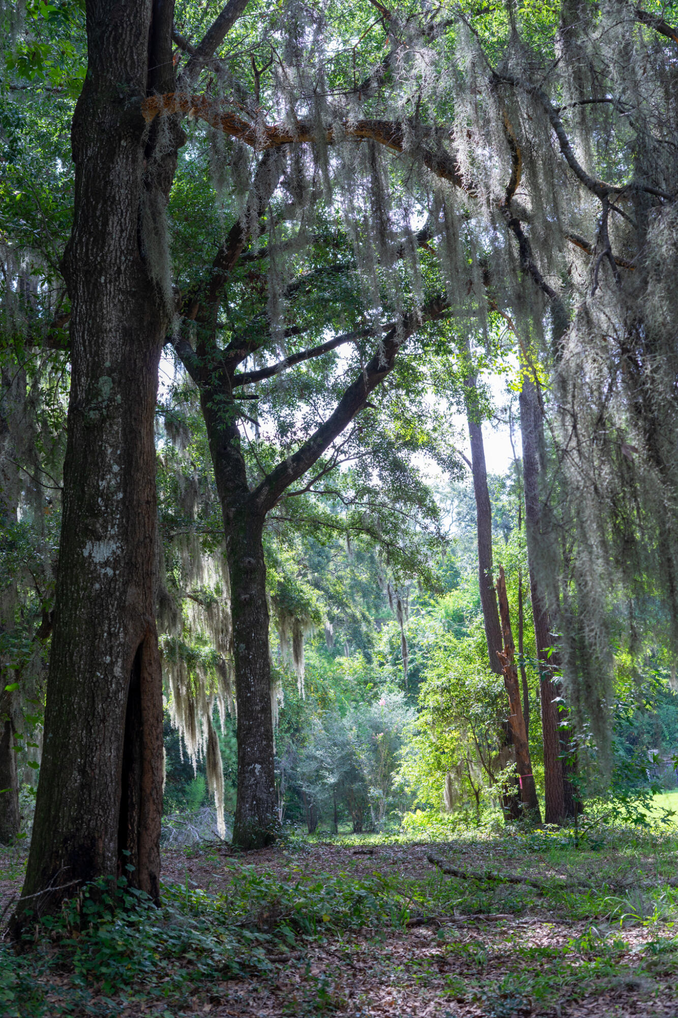 4139 Nature View Circle