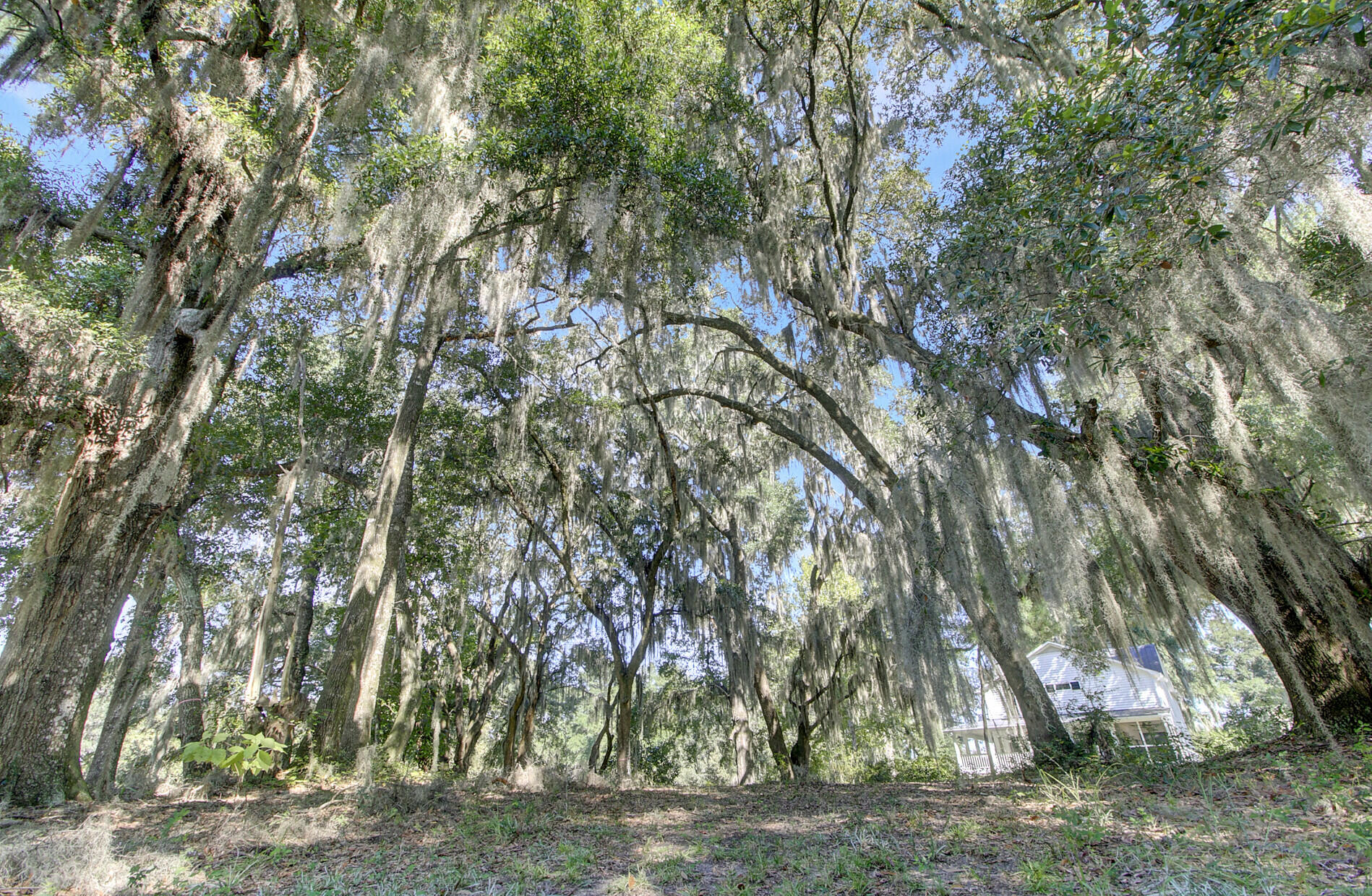 4139 Nature View Circle