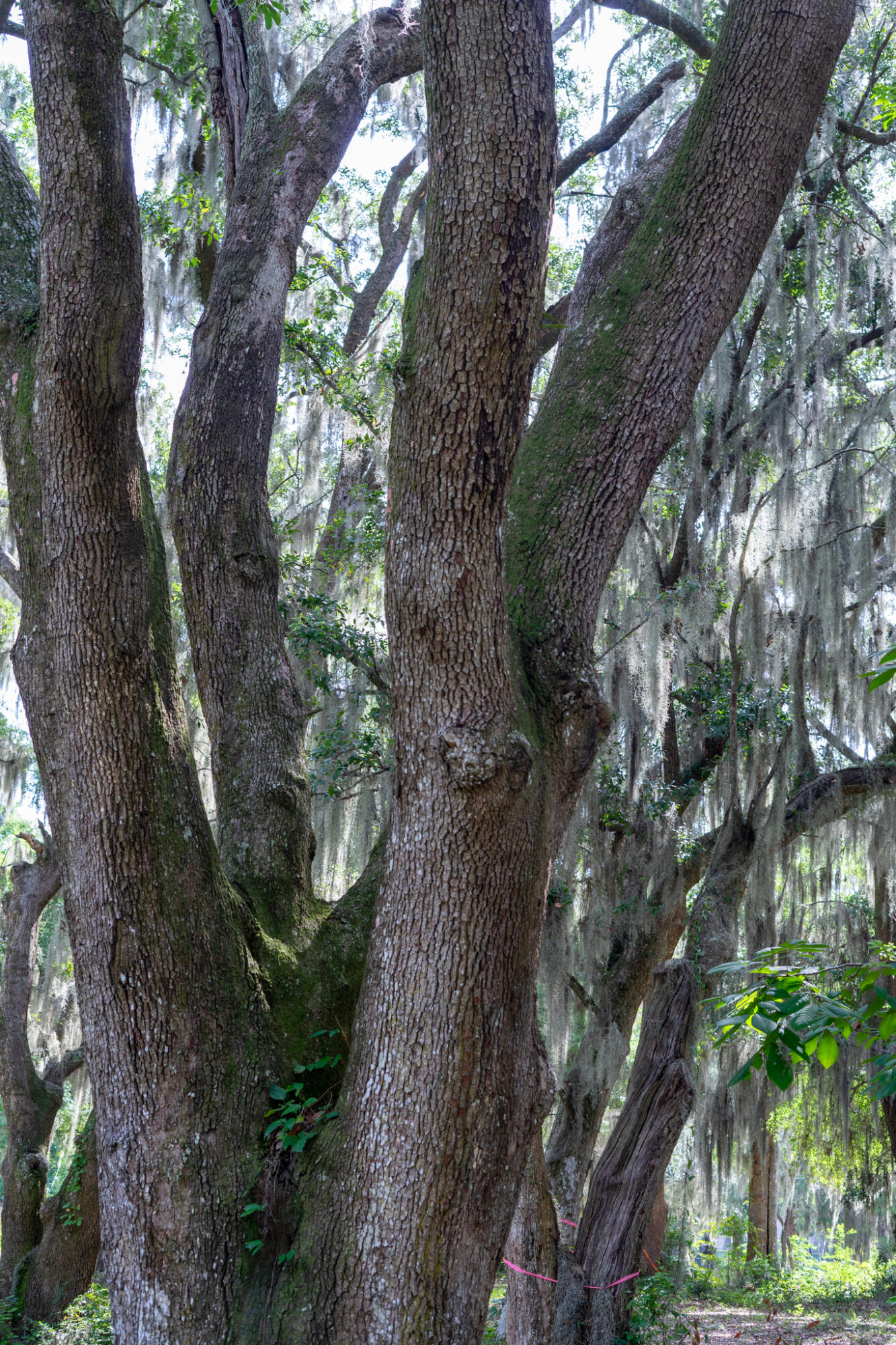 4139 Nature View Circle