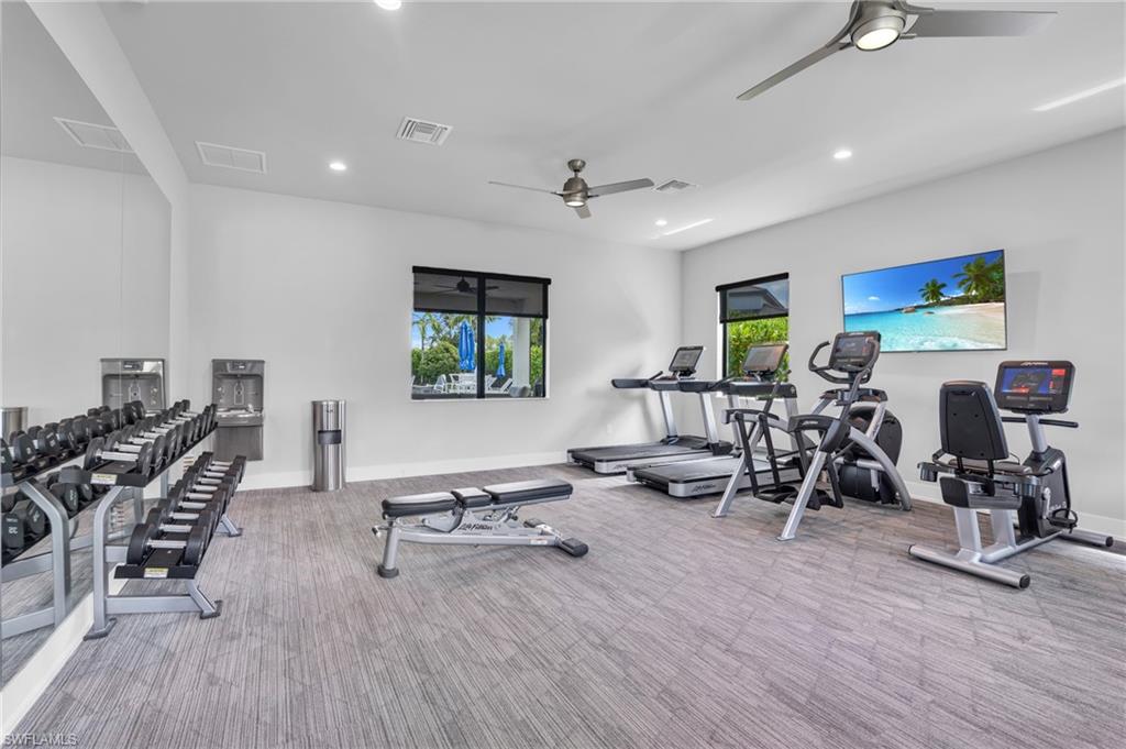 14744 Kingfisher LOOP