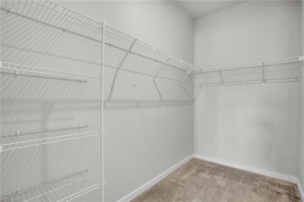 14744 Kingfisher LOOP